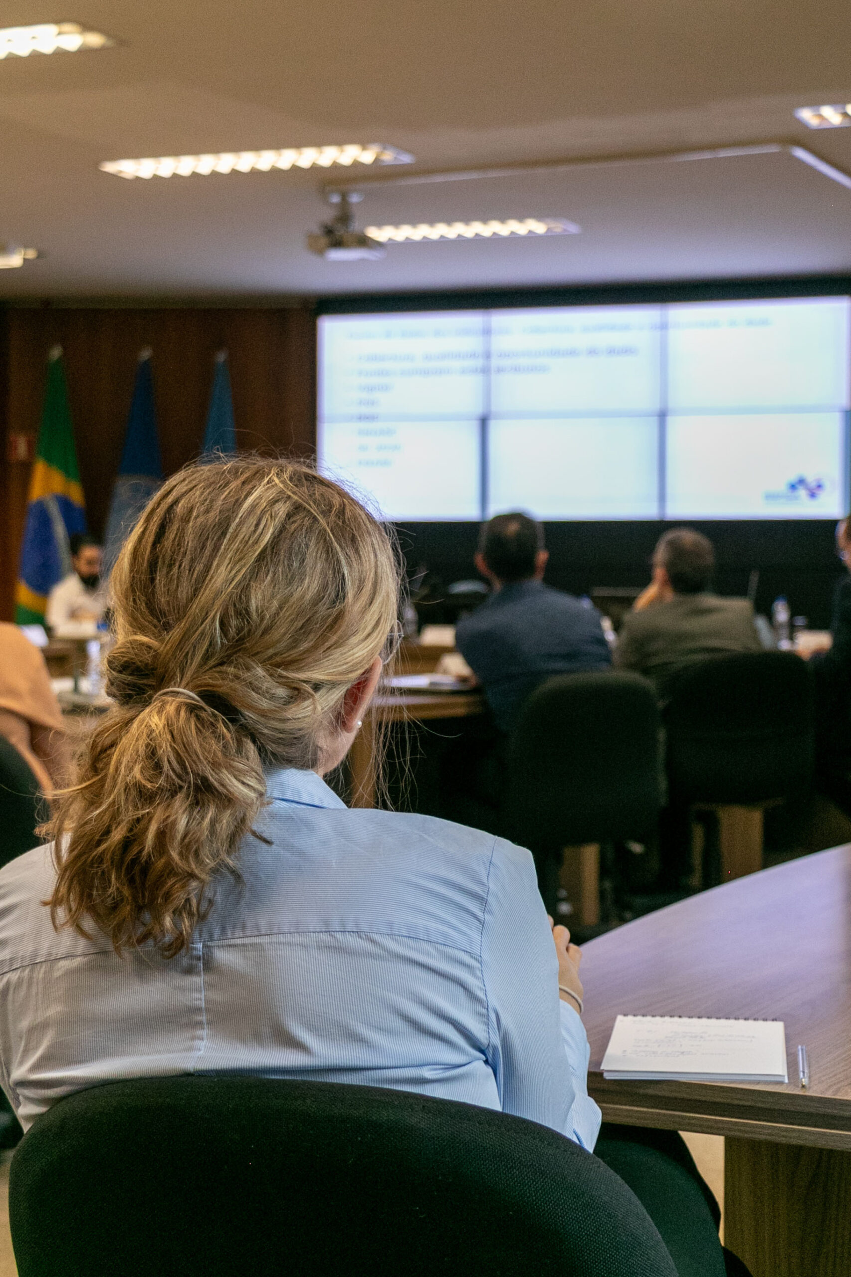 2ª Reunião dos CGI Ripsa - 2023.11.20 - Foto de Rafael de Paula