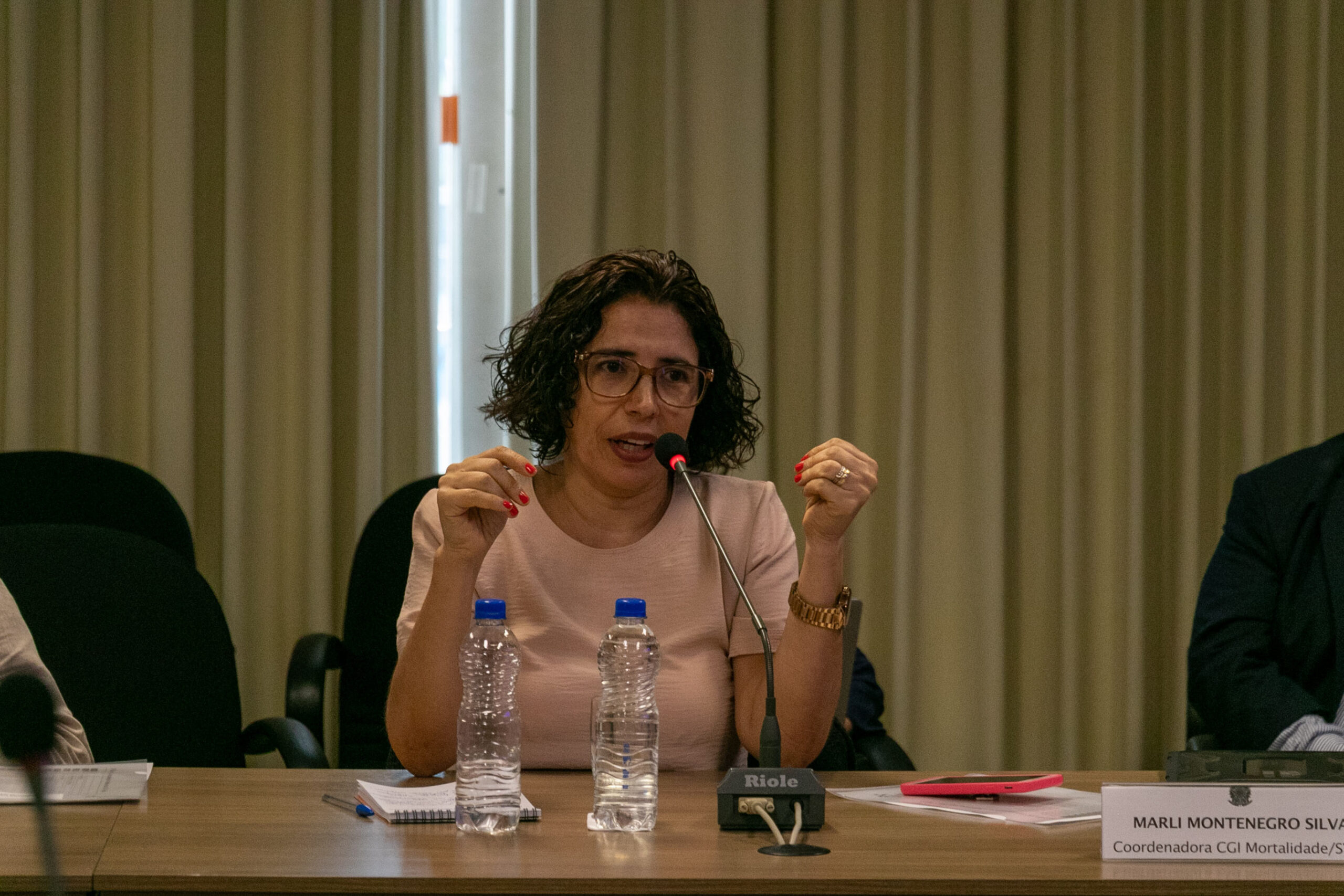 2ª Reunião dos CGI Ripsa - 2023.11.20 - Foto de Rafael de Paula