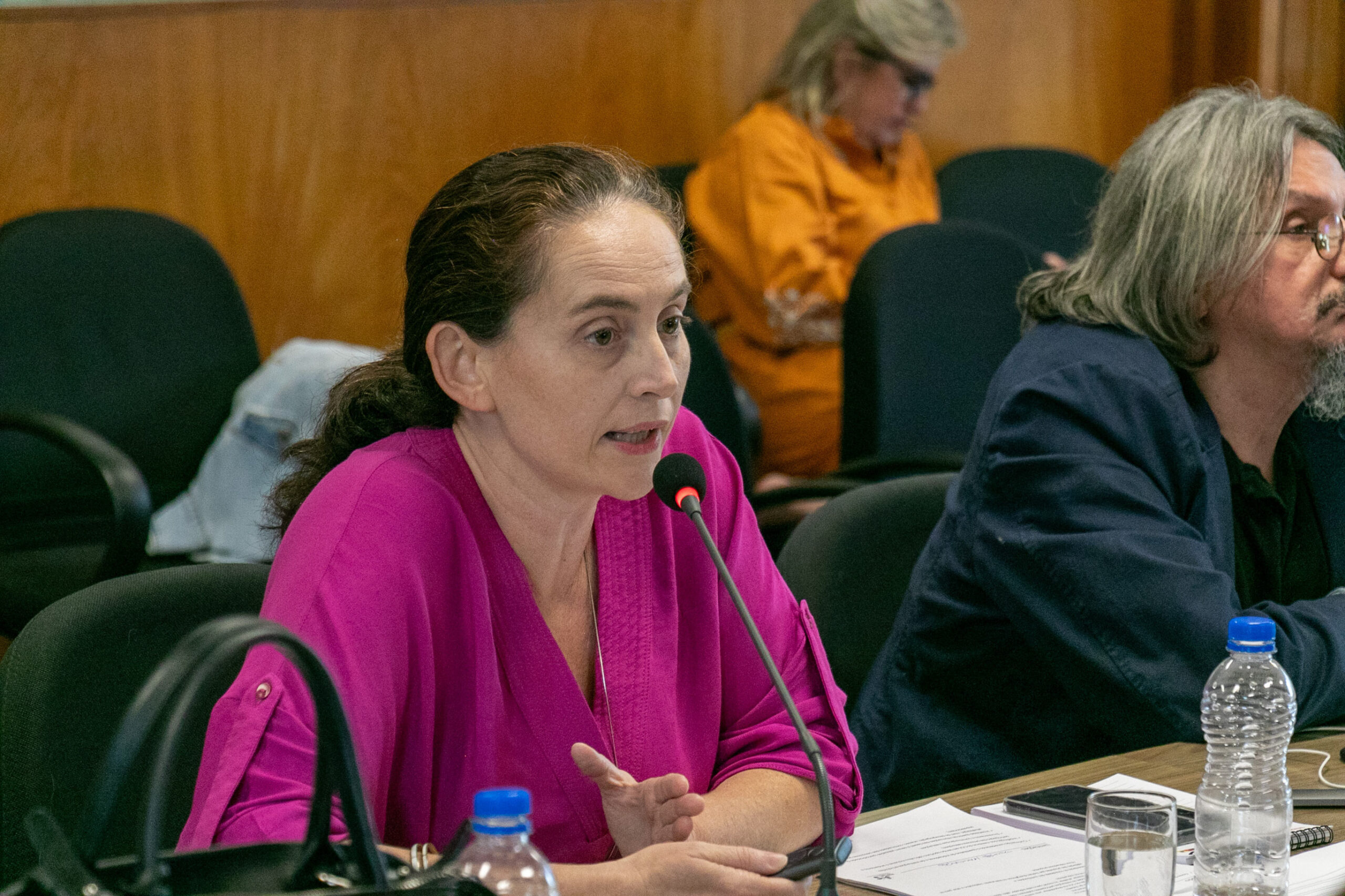 2ª Reunião dos CGI Ripsa - 2023.11.20 - Foto de Rafael de Paula