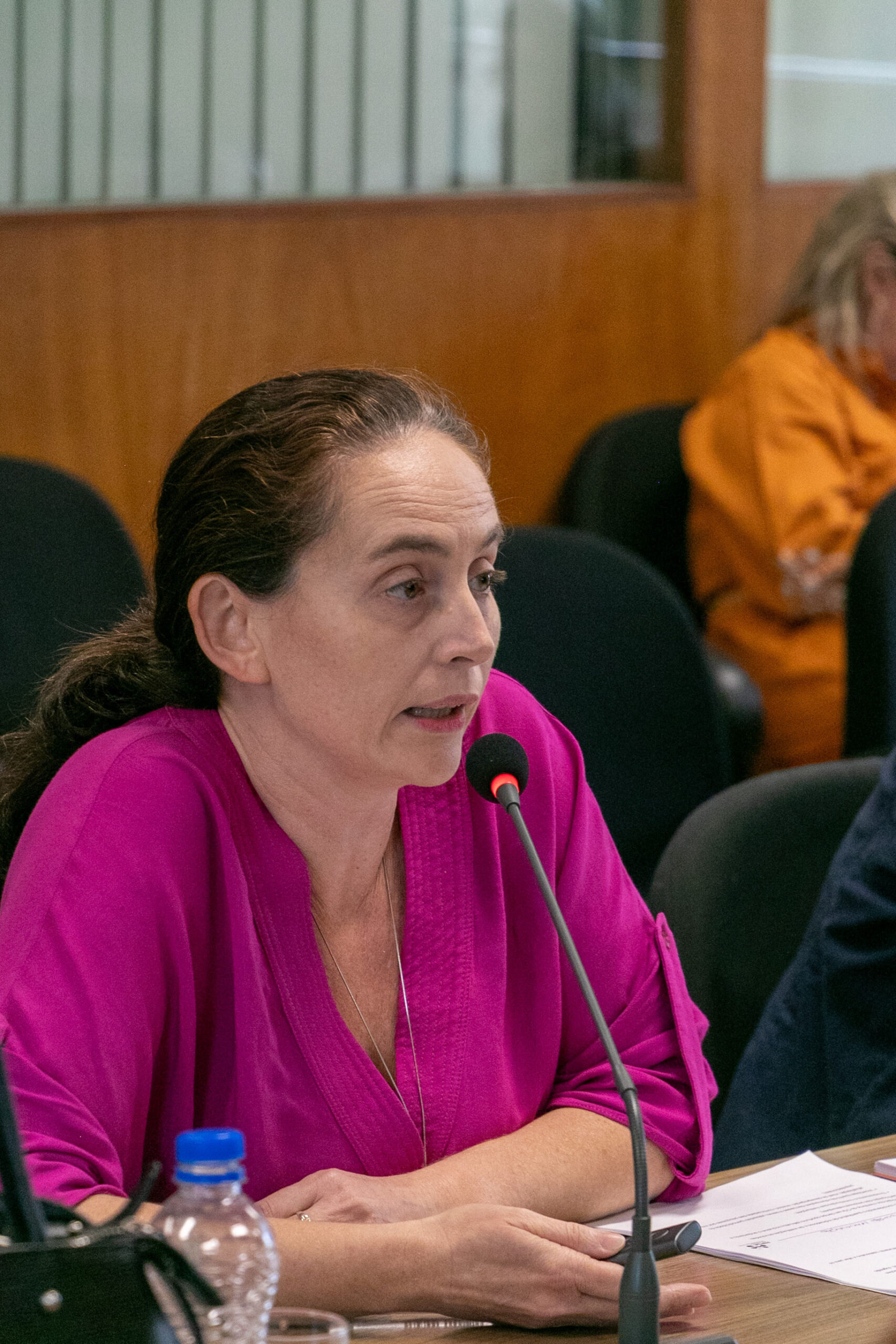 2ª Reunião dos CGI Ripsa - 2023.11.20 - Foto de Rafael de Paula