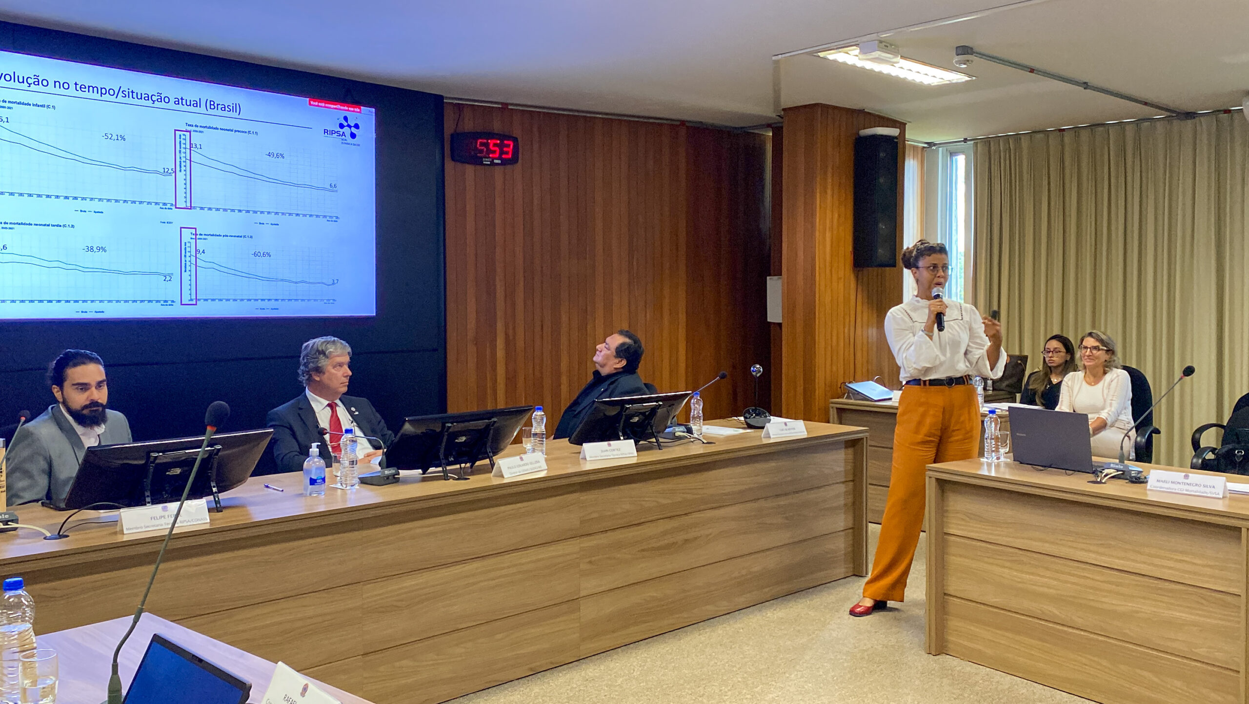 3ª Reunião dos Comitês de Gestão de Indicadores da Ripsa ​- 2024.03.04 e 05 - Foto de Ana C. Novelli