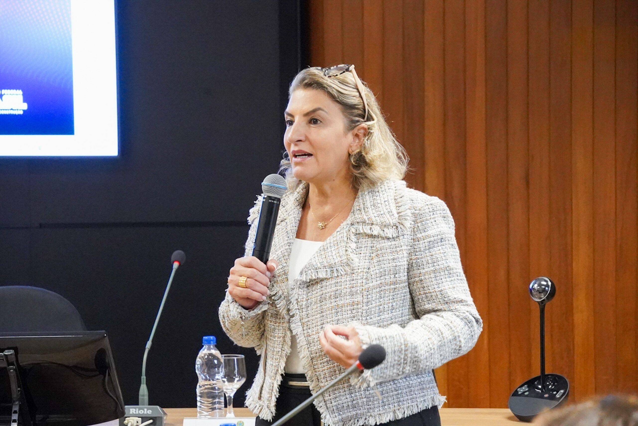 4ª Reunião dos Comitês de Gestão de Indicadores da Ripsa​ - 2024.08.30 e 31