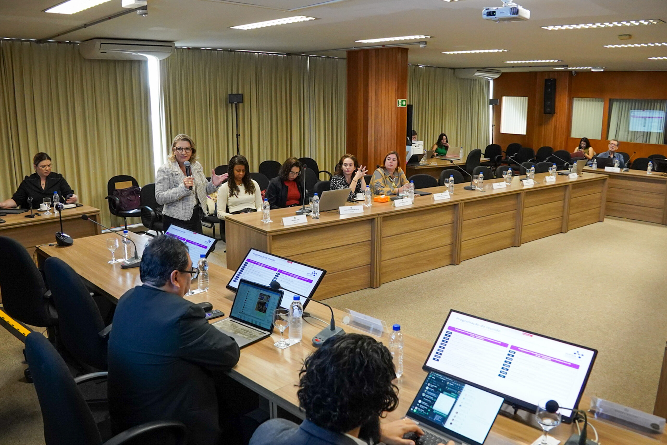 4ª Reunião dos Comitês de Gestão de Indicadores da Ripsa​ - 2024.08.30 e 31