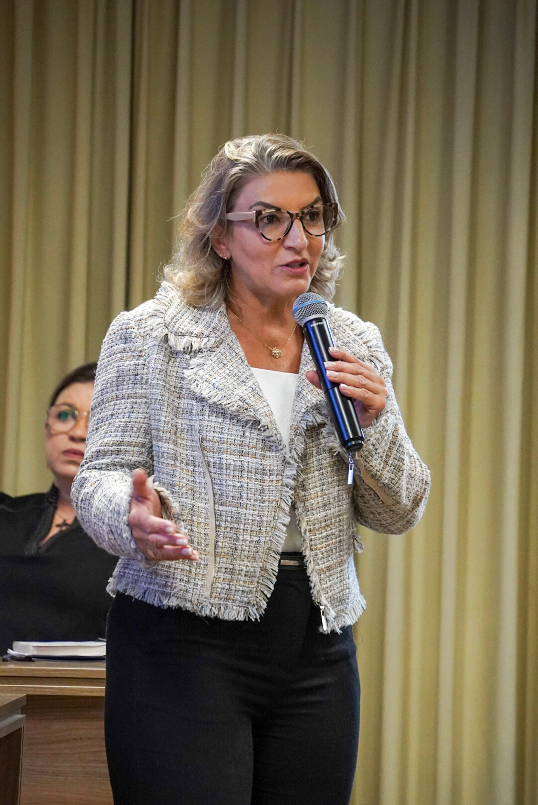 4ª Reunião dos Comitês de Gestão de Indicadores da Ripsa​ - 2024.08.30 e 31