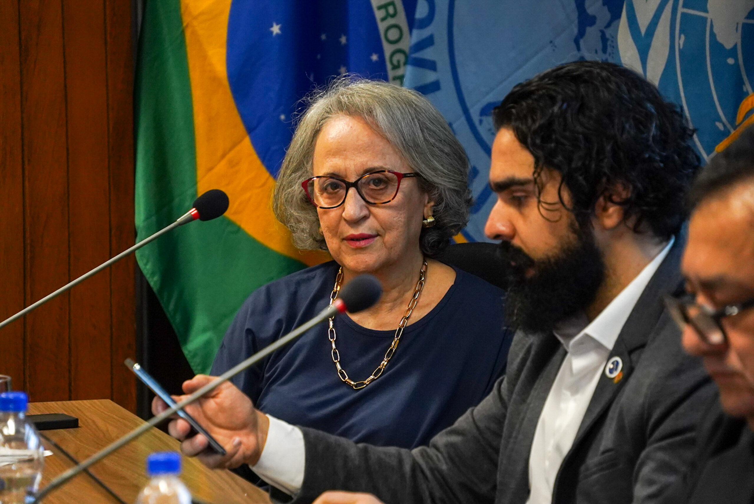 4ª Reunião dos Comitês de Gestão de Indicadores da Ripsa​ - 2024.08.30 e 31