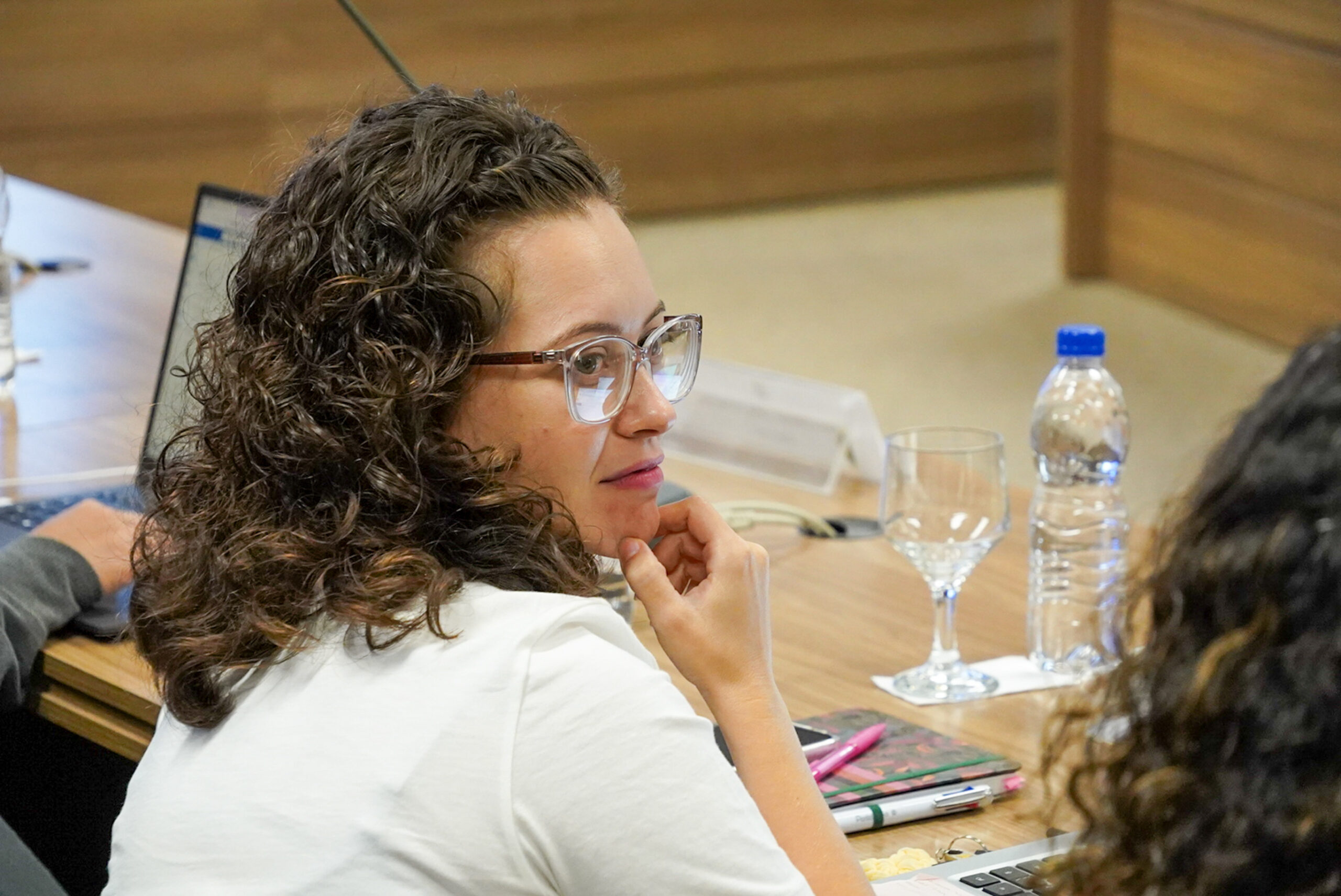 4ª Reunião dos Comitês de Gestão de Indicadores da Ripsa​ - 2024.08.30 e 31