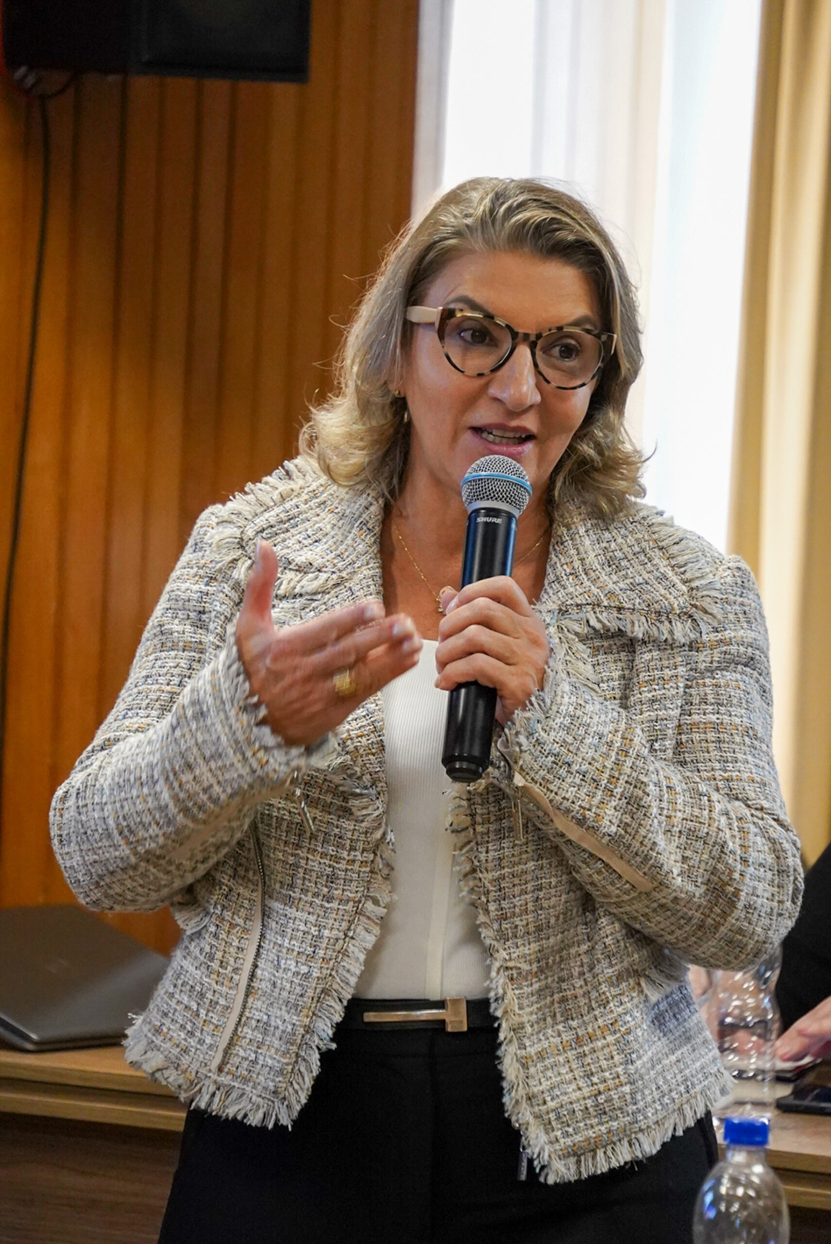 4ª Reunião dos Comitês de Gestão de Indicadores da Ripsa​ - 2024.08.30 e 31