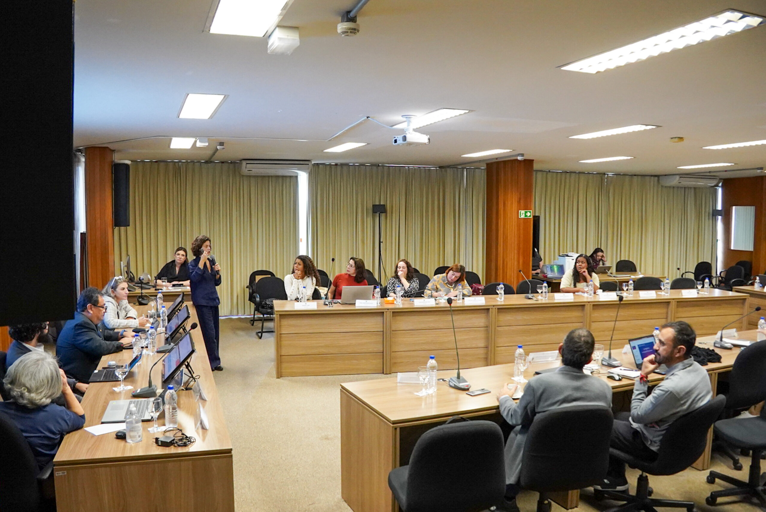 4ª Reunião dos Comitês de Gestão de Indicadores da Ripsa​ - 2024.08.30 e 31