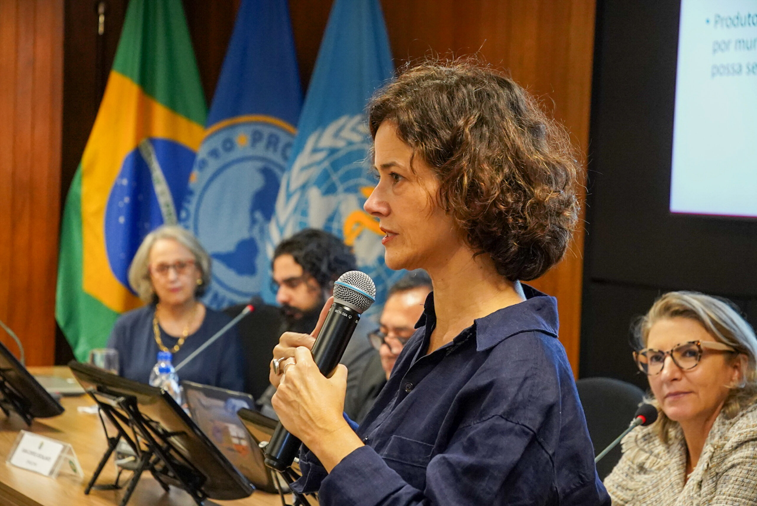 4ª Reunião dos Comitês de Gestão de Indicadores da Ripsa​ - 2024.08.30 e 31