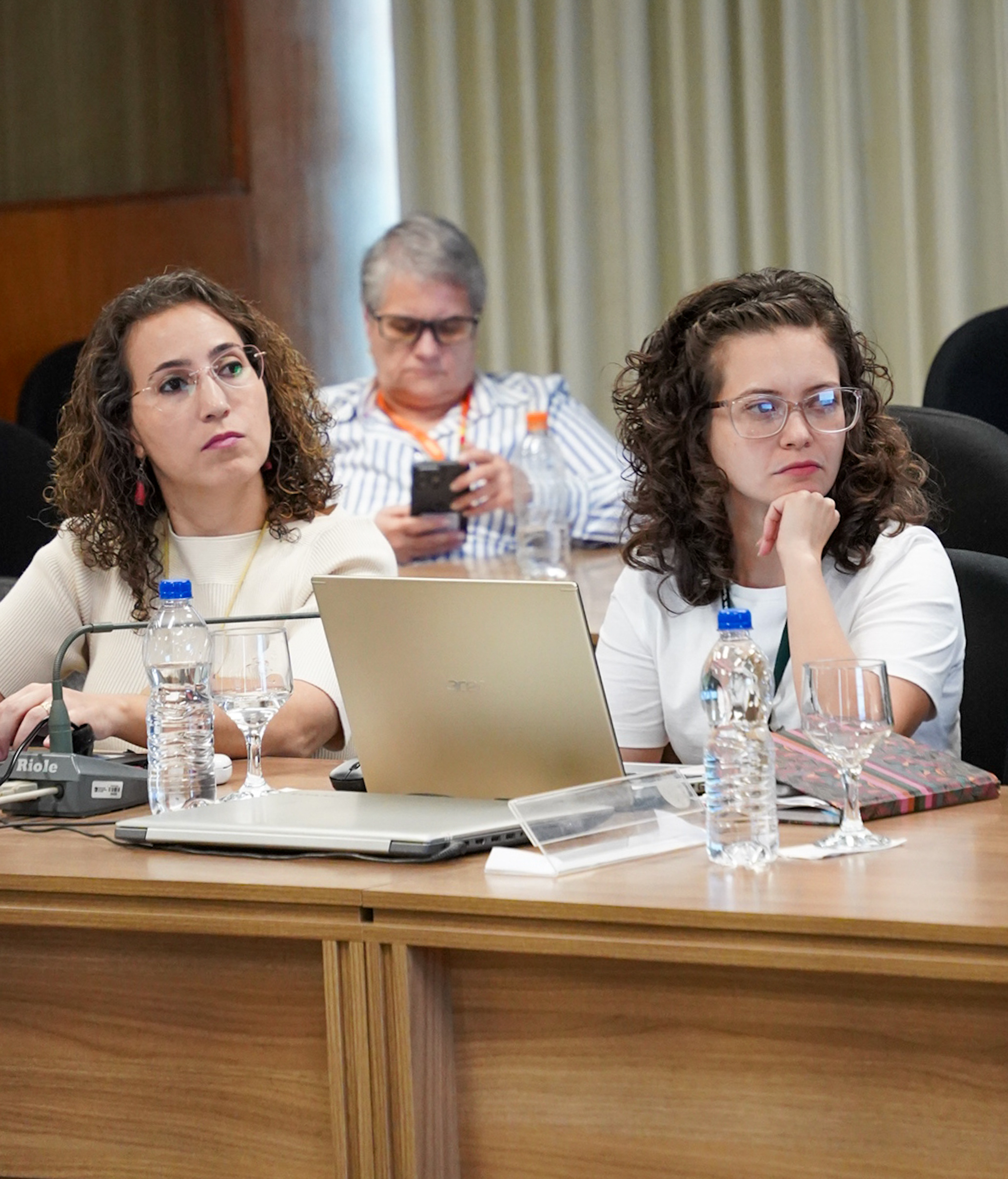 4ª Reunião dos Comitês de Gestão de Indicadores da Ripsa​ - 2024.08.30 e 31