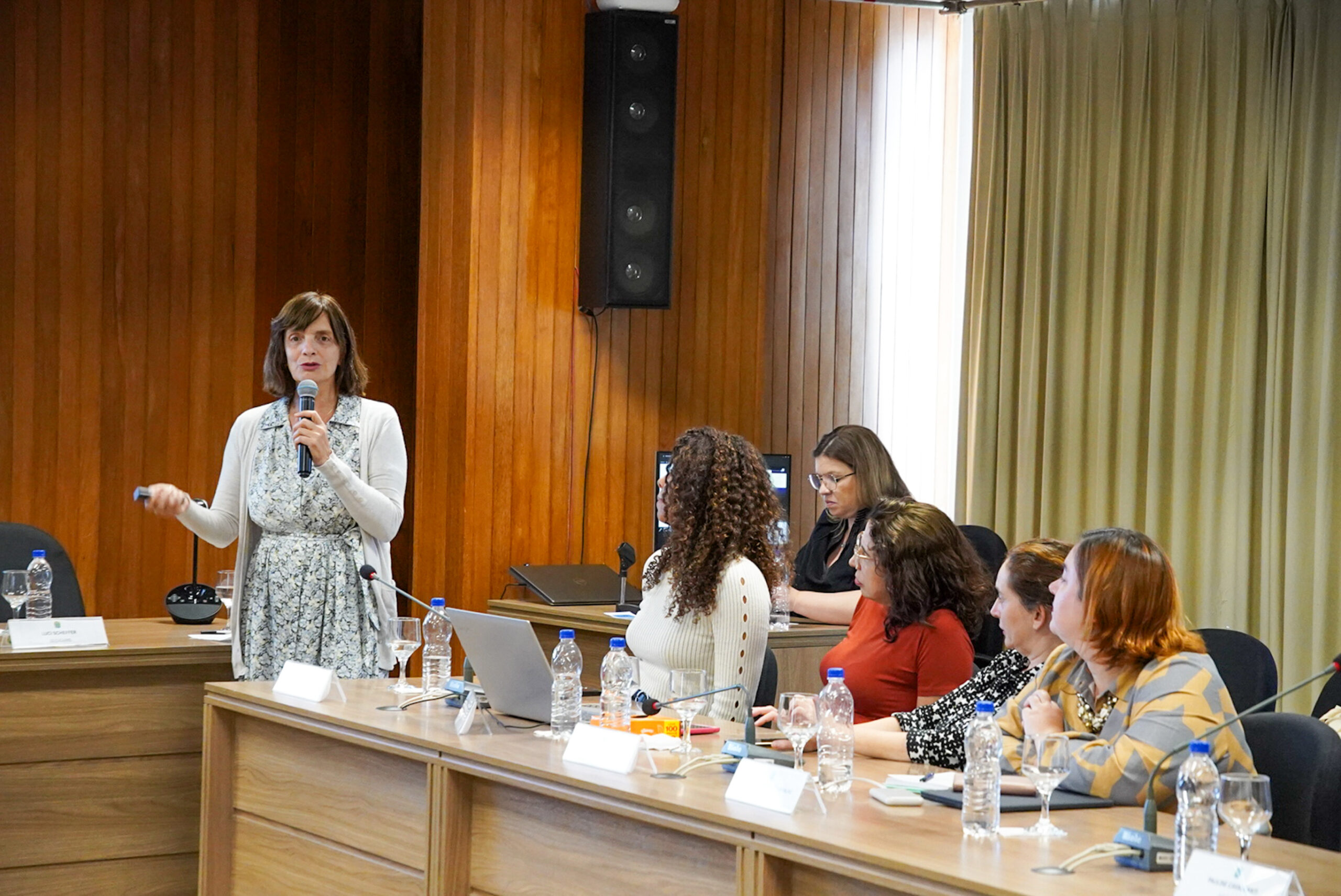 4ª Reunião dos Comitês de Gestão de Indicadores da Ripsa​ - 2024.08.30 e 31