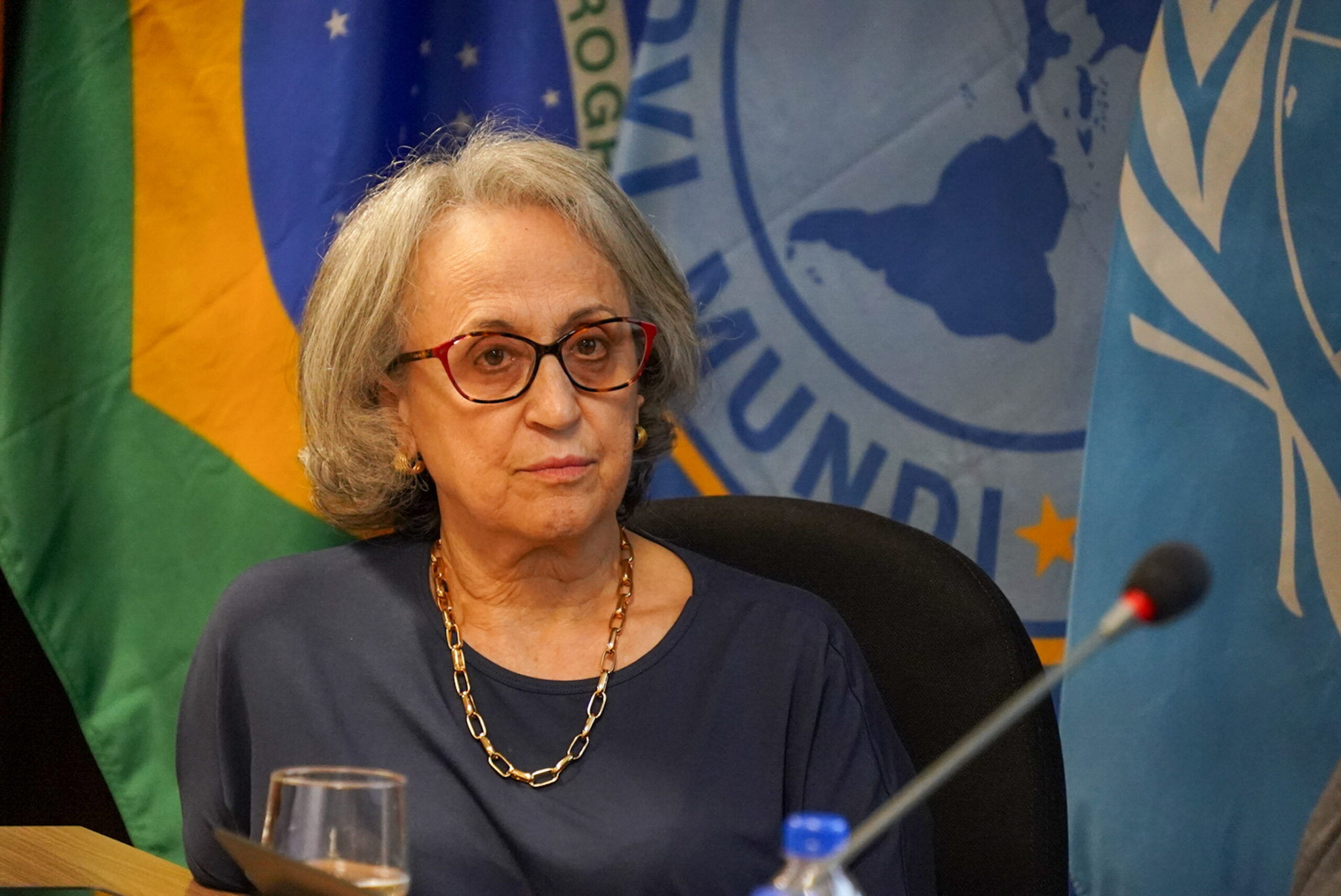 4ª Reunião dos Comitês de Gestão de Indicadores da Ripsa​ - 2024.08.30 e 31