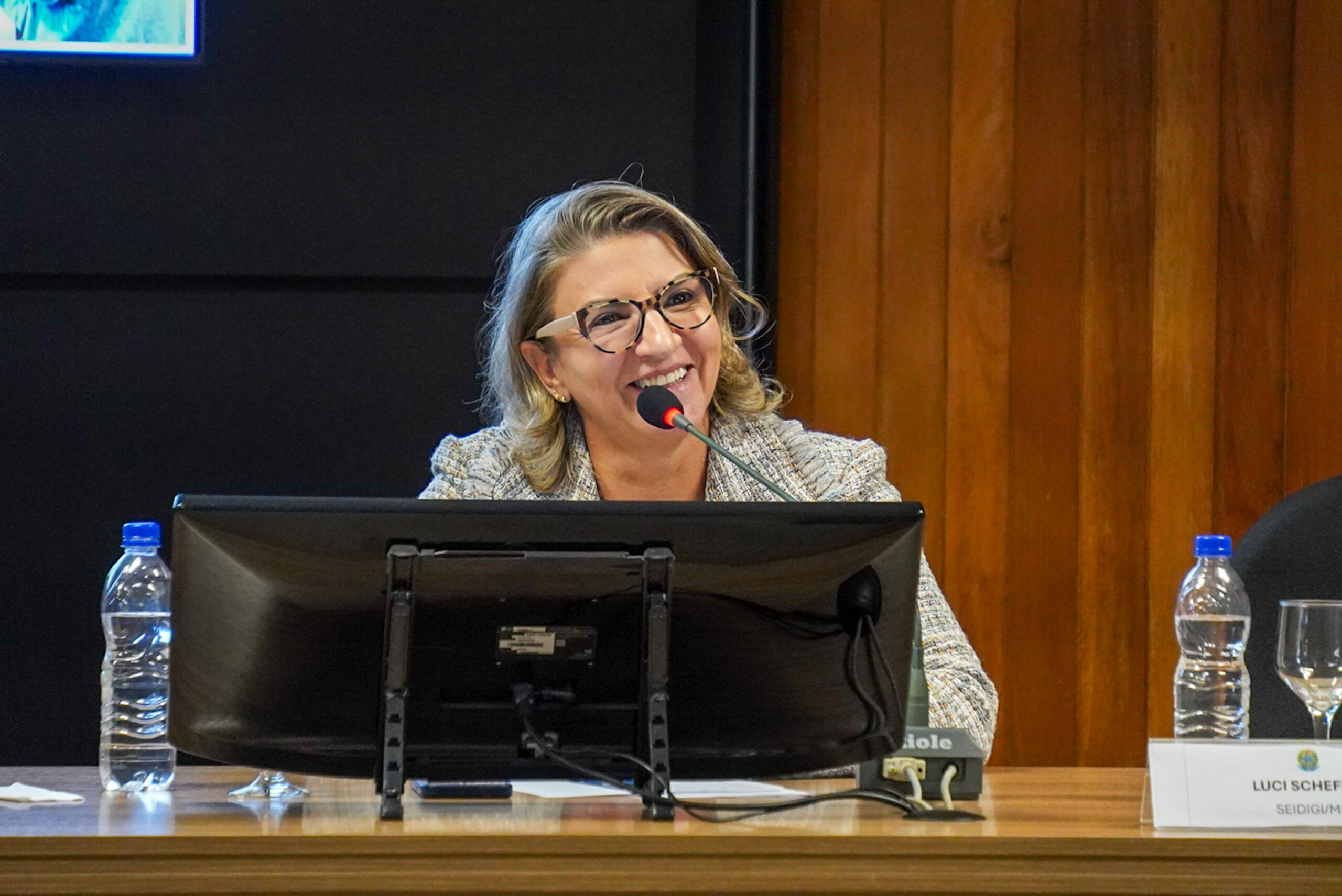 4ª Reunião dos Comitês de Gestão de Indicadores da Ripsa​ - 2024.08.30 e 31