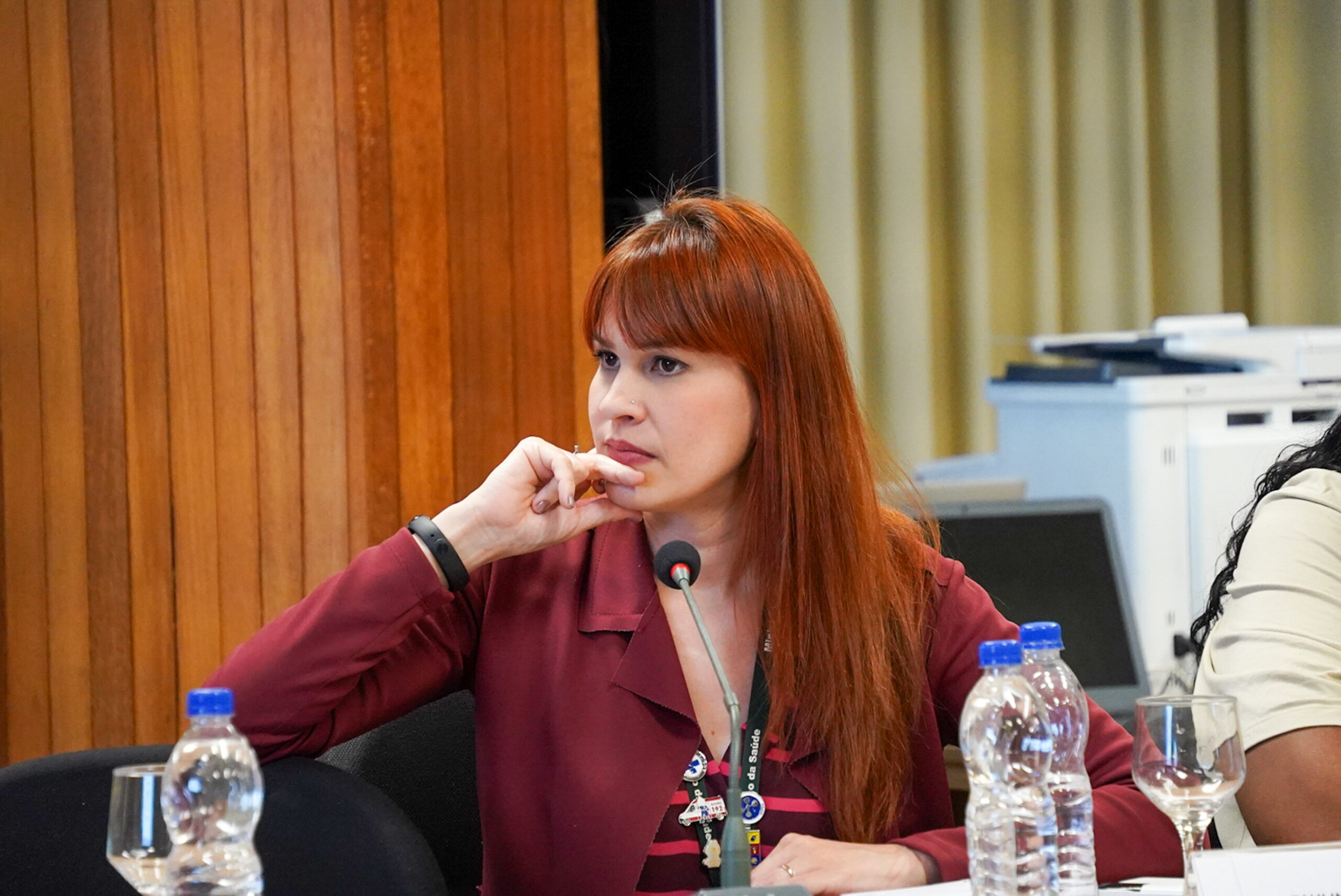 4ª Reunião dos Comitês de Gestão de Indicadores da Ripsa​ - 2024.08.30 e 31