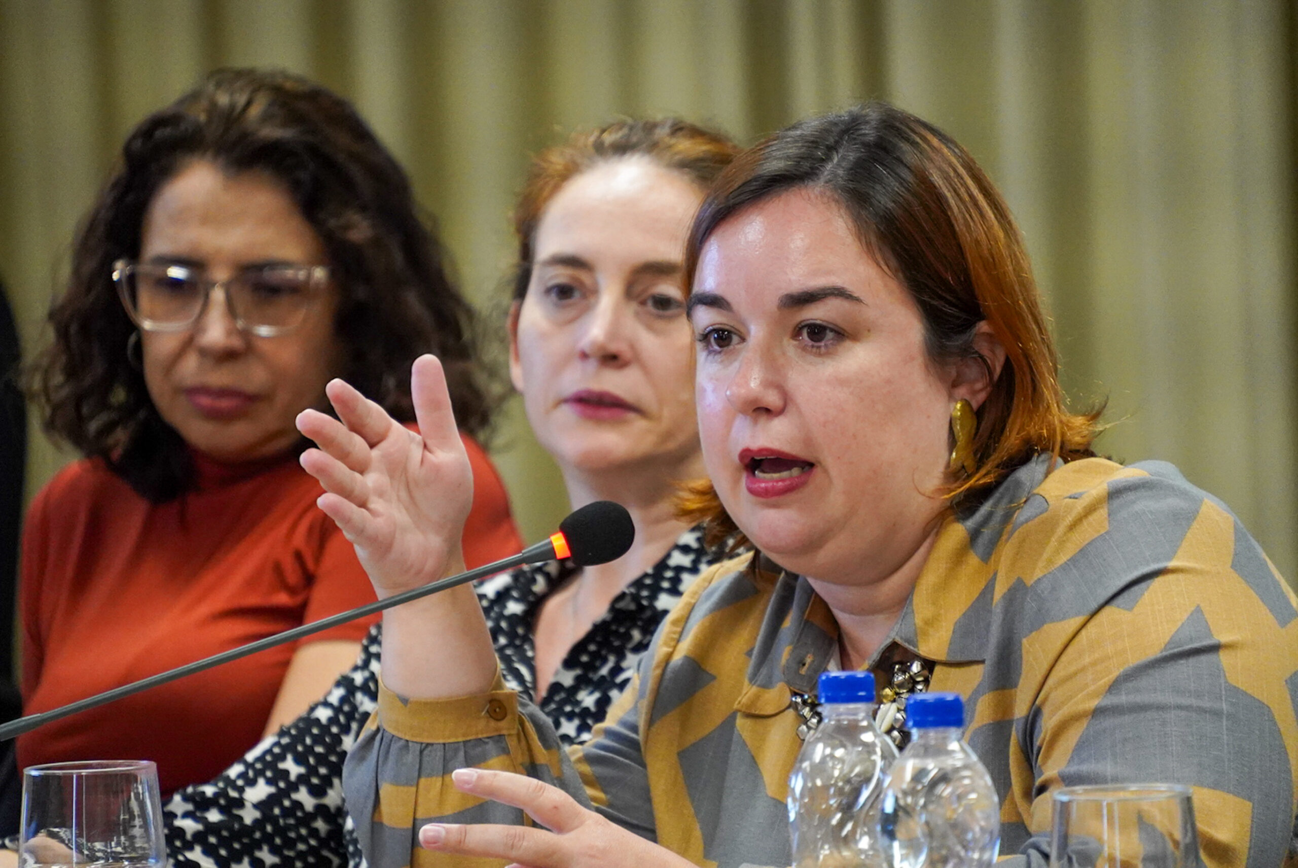 4ª Reunião dos Comitês de Gestão de Indicadores da Ripsa​ - 2024.08.30 e 31