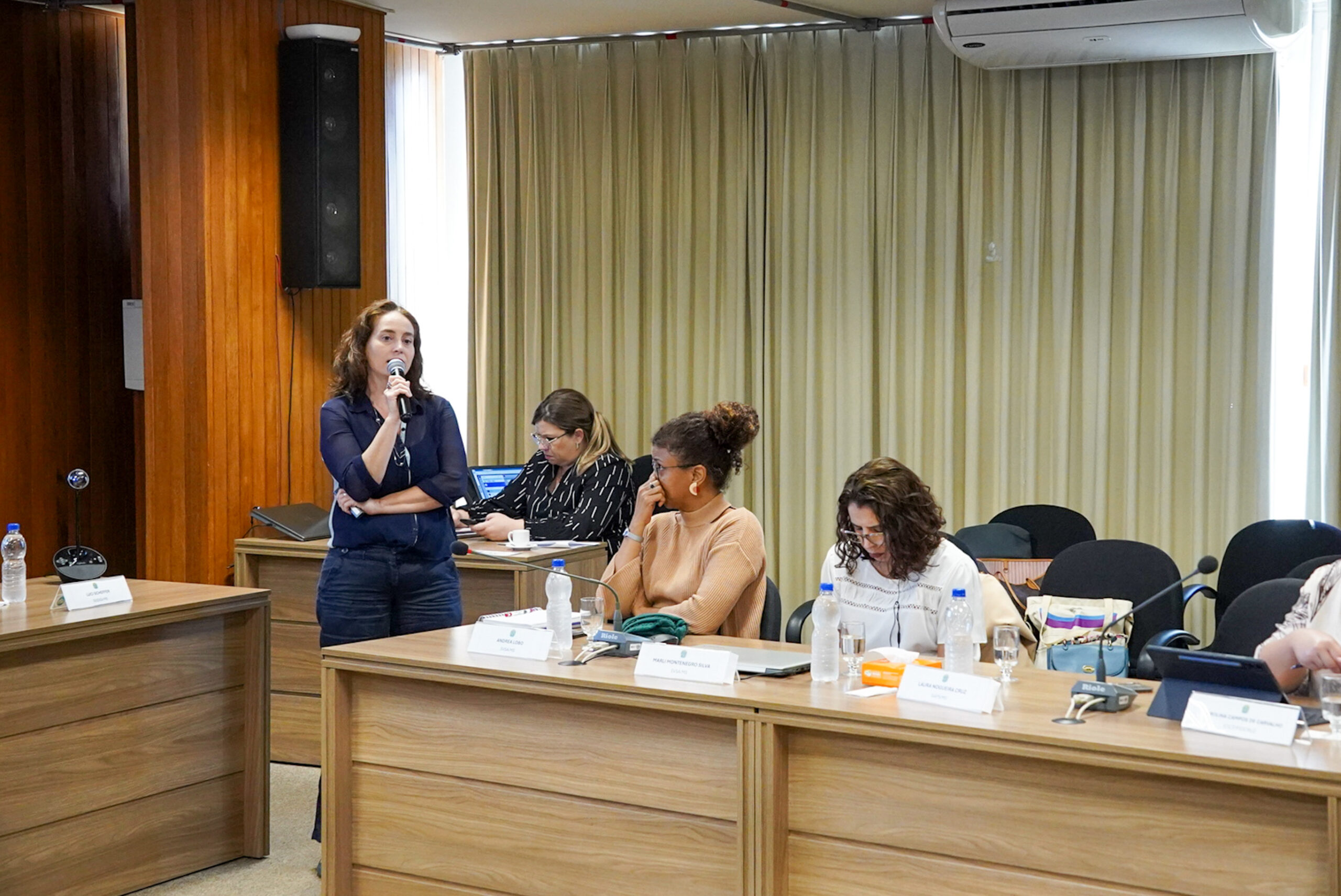 4ª Reunião dos Comitês de Gestão de Indicadores da Ripsa​ - 2024.08.30 e 31