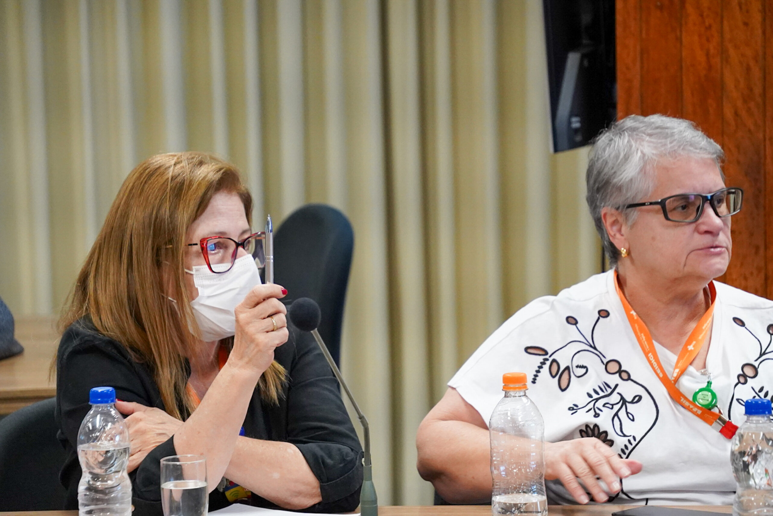 4ª Reunião dos Comitês de Gestão de Indicadores da Ripsa​ - 2024.08.30 e 31