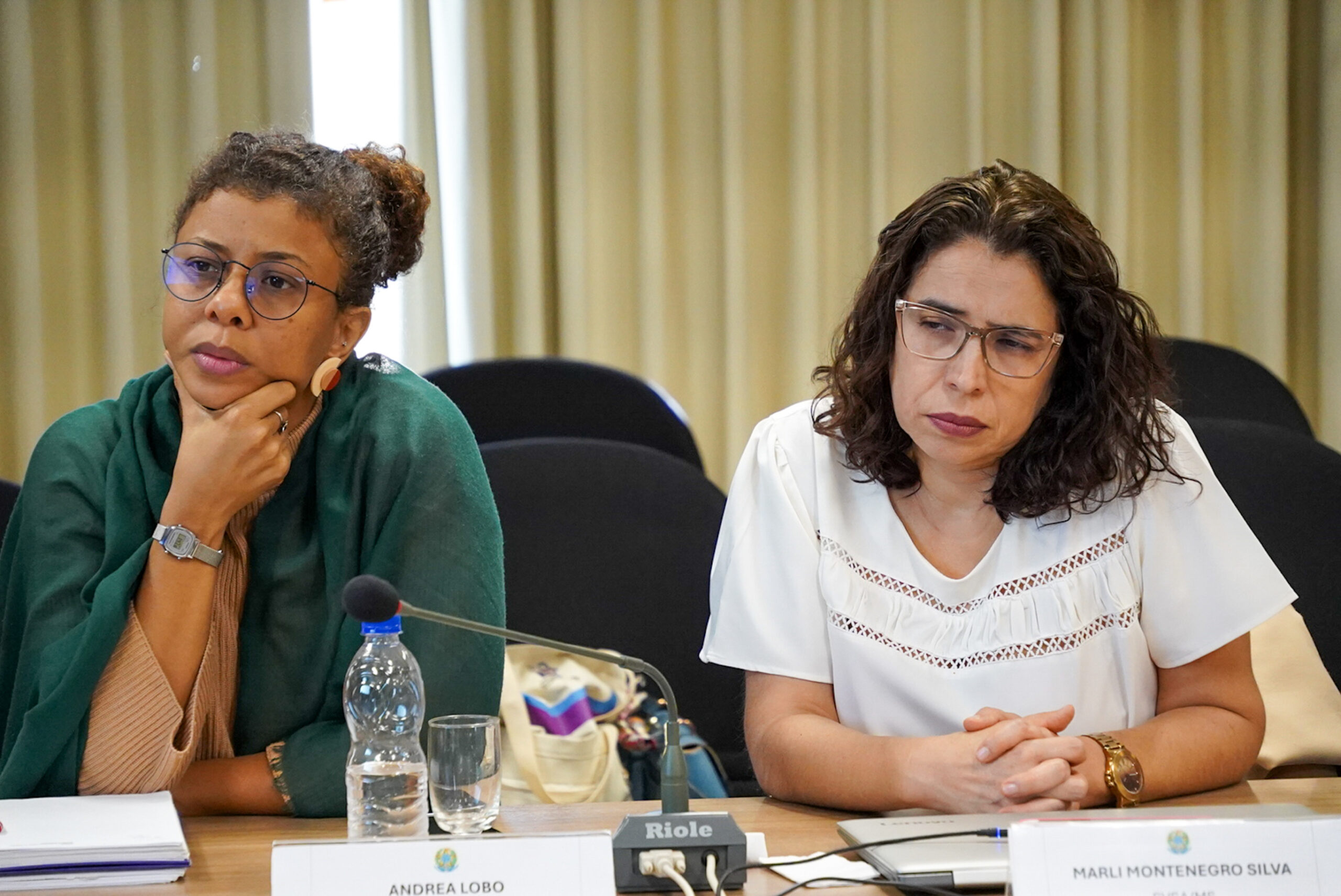 4ª Reunião dos Comitês de Gestão de Indicadores da Ripsa​ - 2024.08.30 e 31