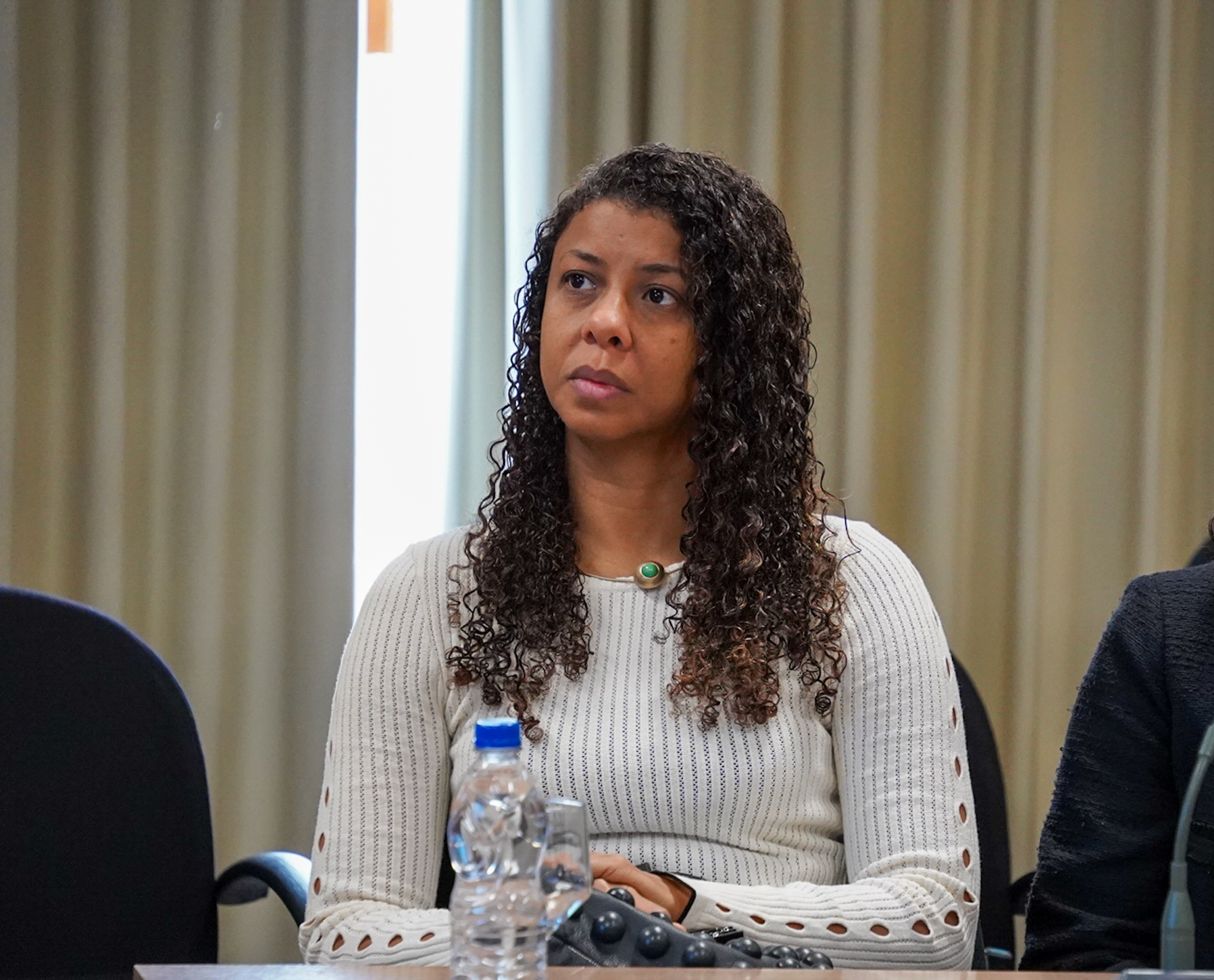 4ª Reunião dos Comitês de Gestão de Indicadores da Ripsa​ - 2024.08.30 e 31