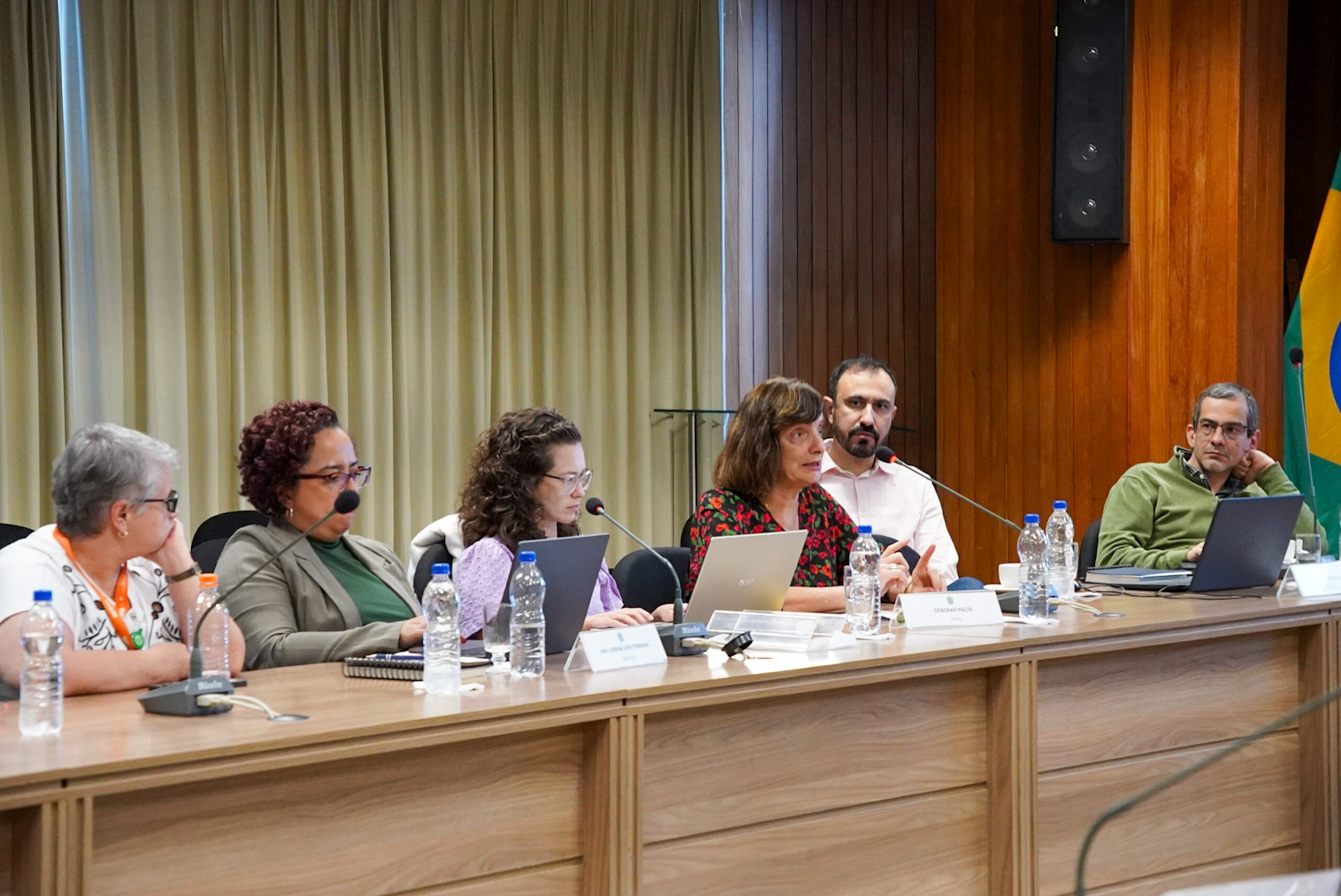 4ª Reunião dos Comitês de Gestão de Indicadores da Ripsa​ - 2024.08.30 e 31