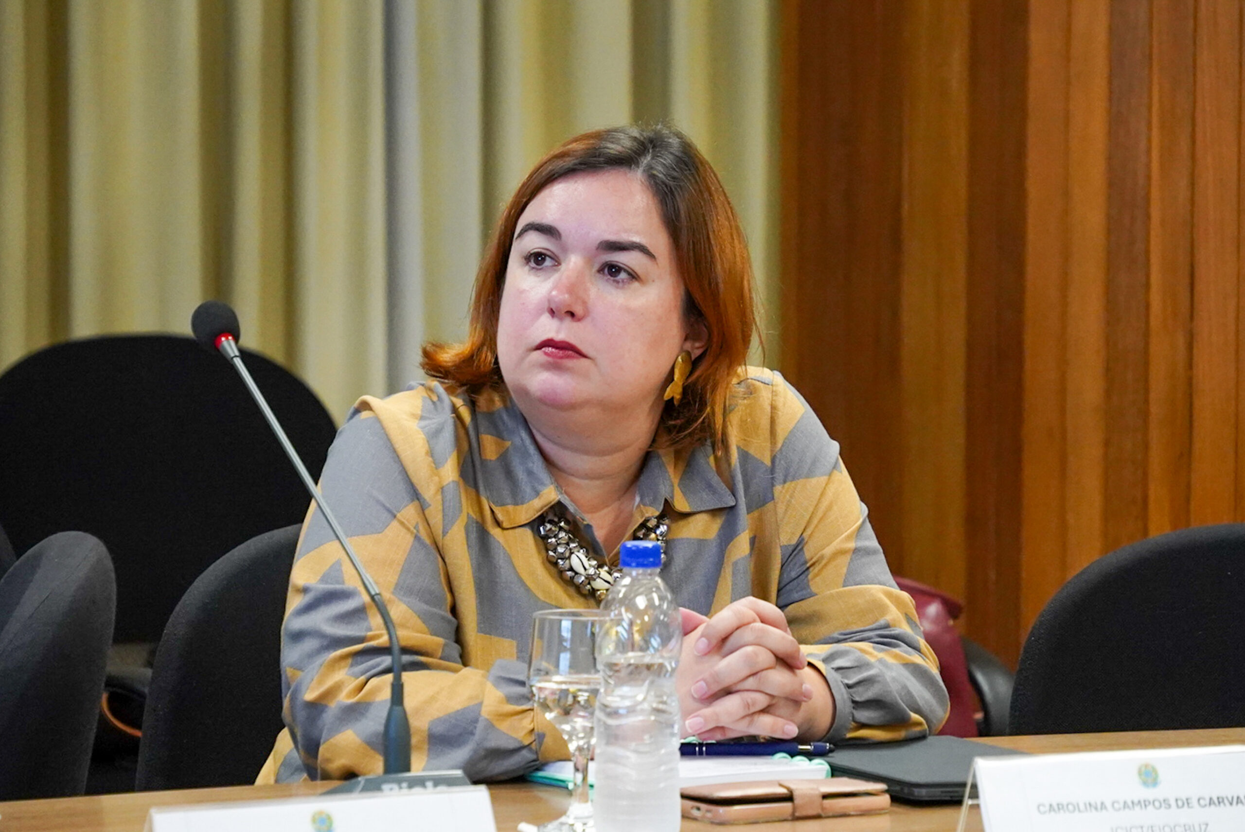 4ª Reunião dos Comitês de Gestão de Indicadores da Ripsa​ - 2024.08.30 e 31