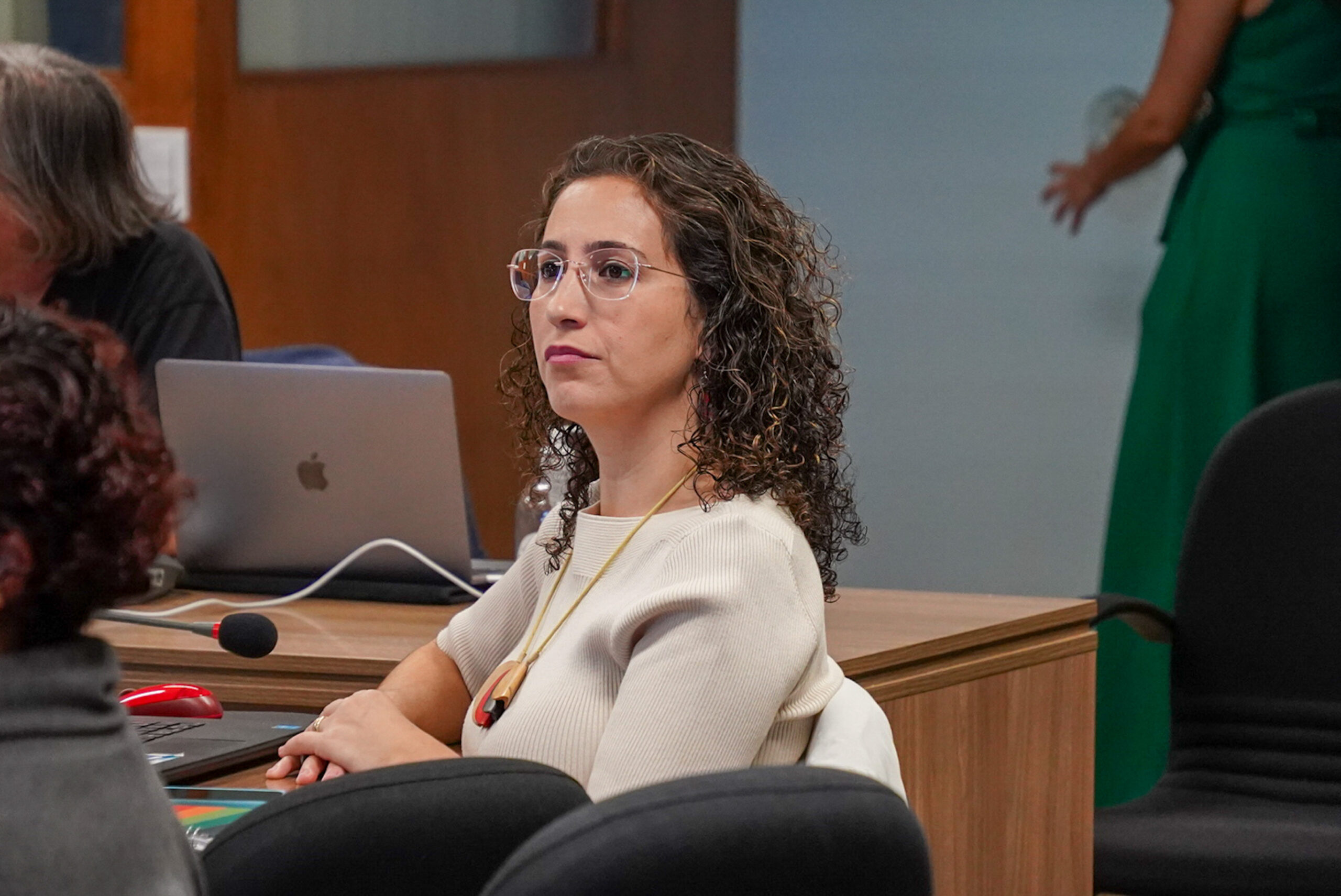 4ª Reunião dos Comitês de Gestão de Indicadores da Ripsa​ - 2024.08.30 e 31