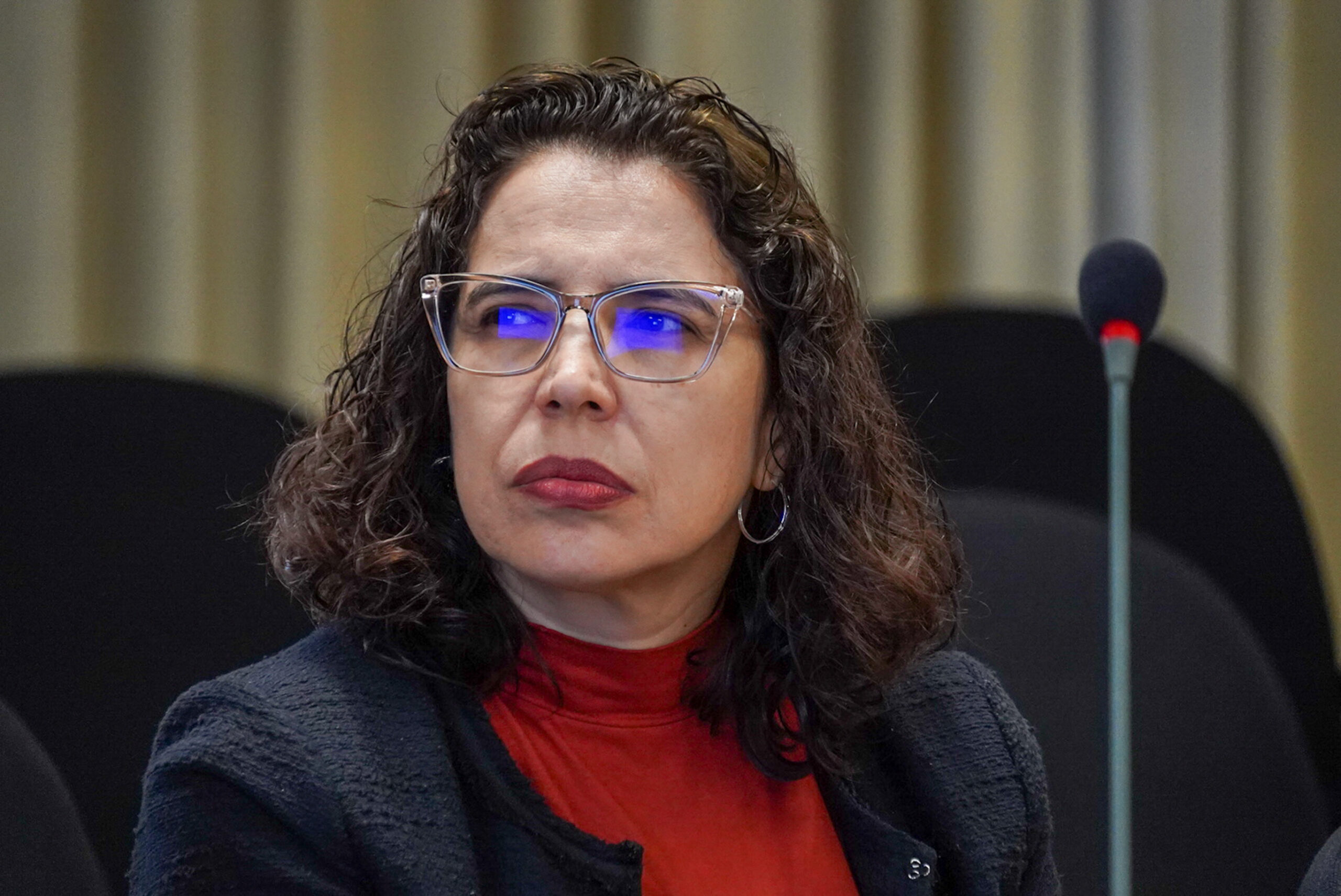 4ª Reunião dos Comitês de Gestão de Indicadores da Ripsa​ - 2024.08.30 e 31