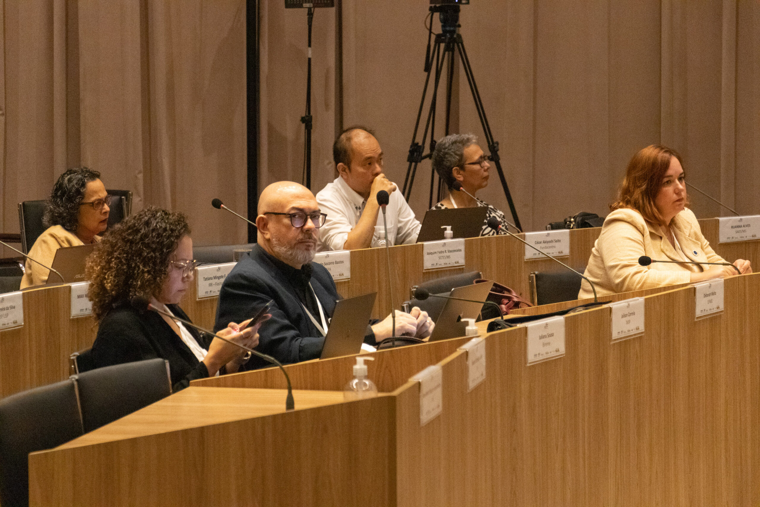 31ª Oficina de Trabalho Interagencial da Ripsa​ - 2024.12.05 e 06