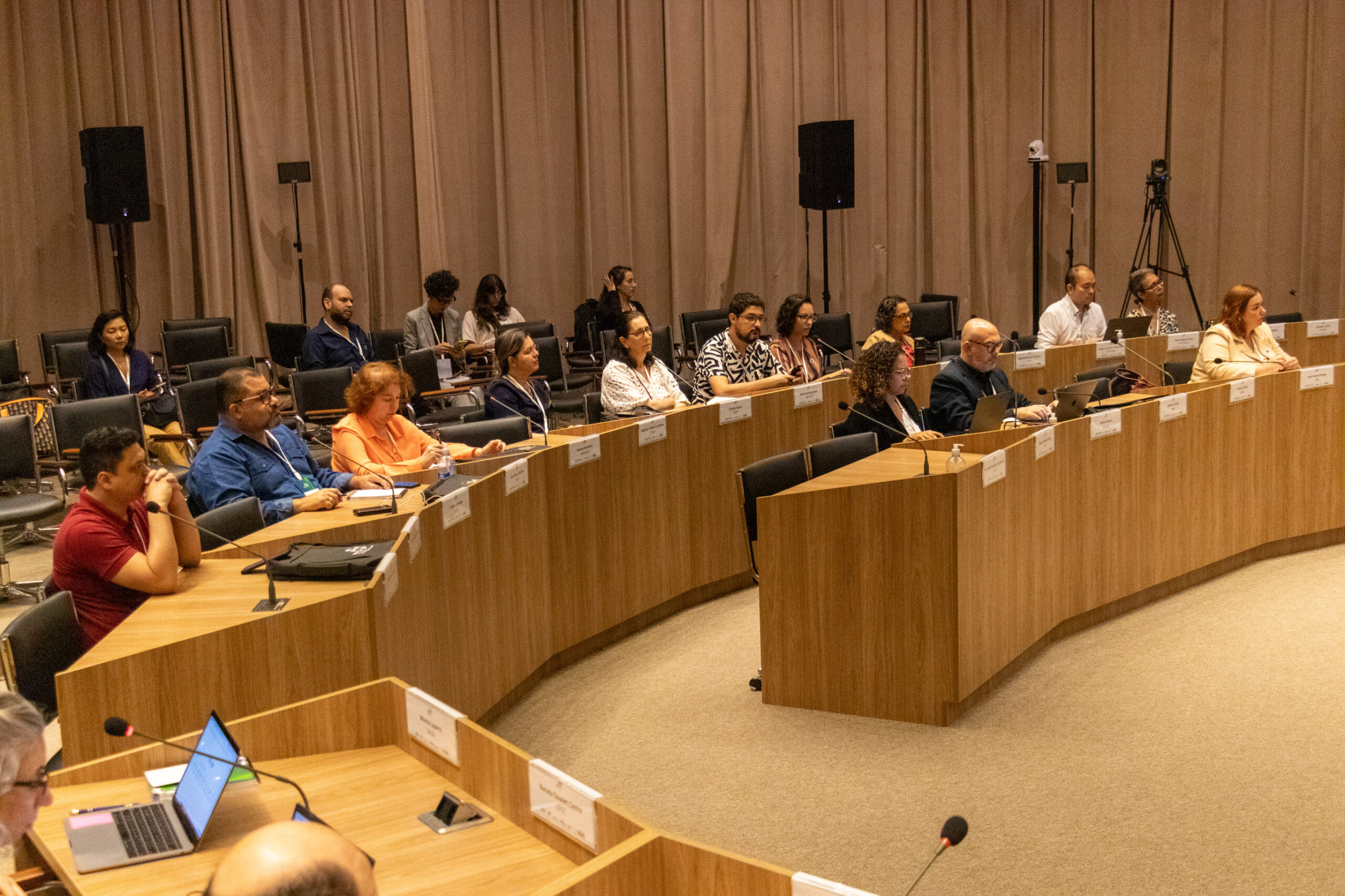 31ª Oficina de Trabalho Interagencial da Ripsa​ - 2024.12.05 e 06