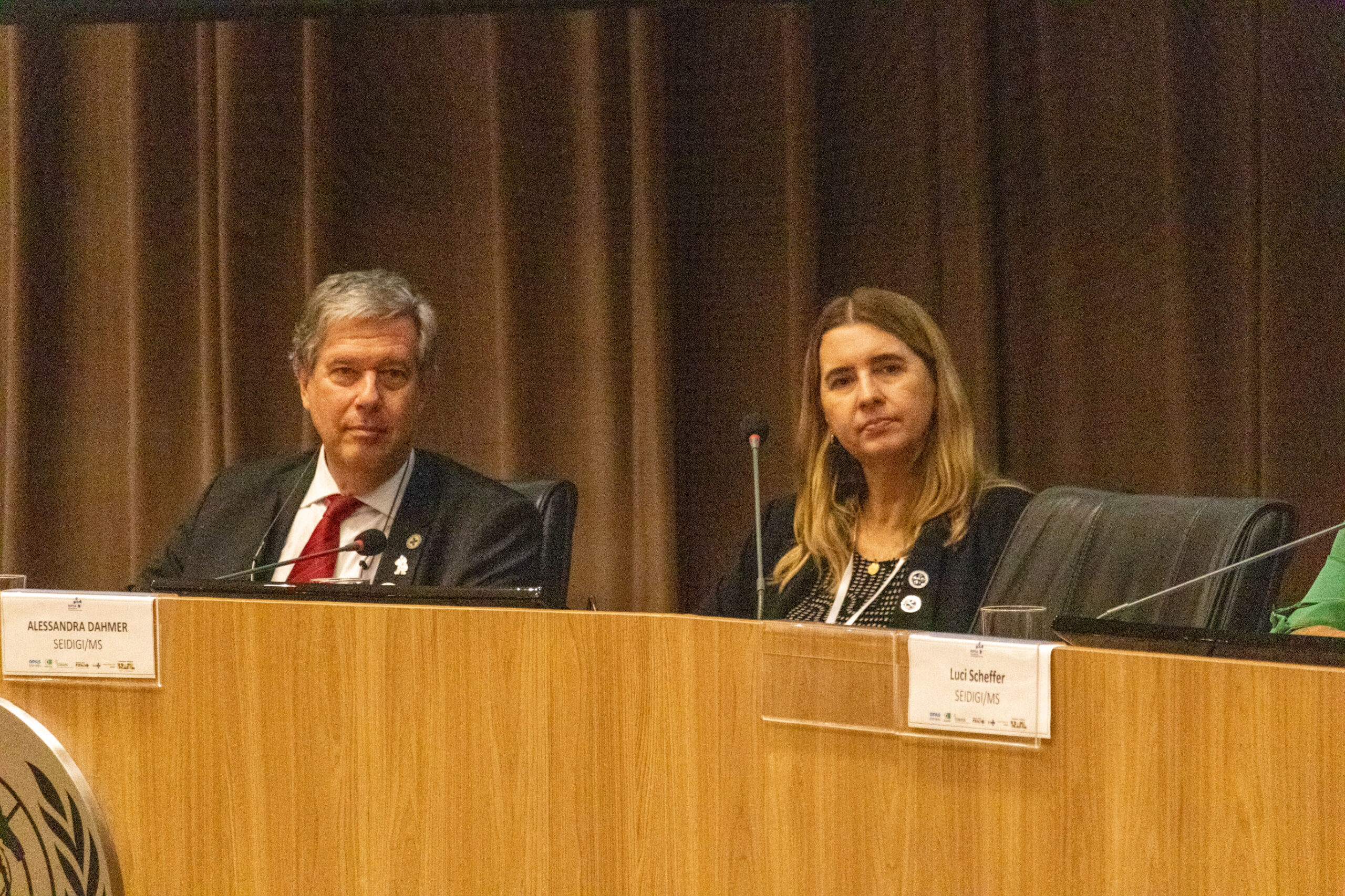 31ª Oficina de Trabalho Interagencial da Ripsa​ - 2024.12.05 e 06