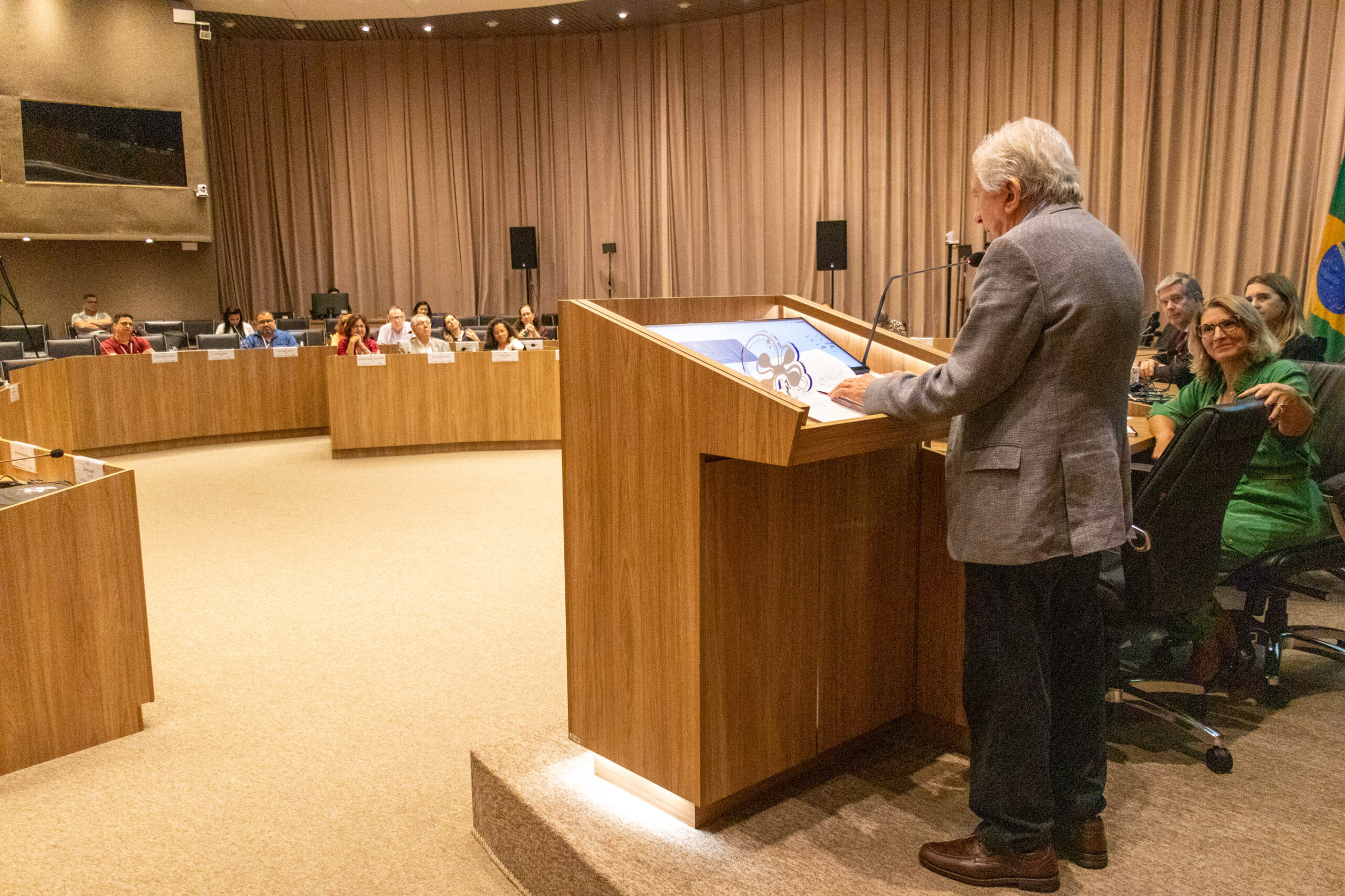 31ª Oficina de Trabalho Interagencial da Ripsa​ - 2024.12.05 e 06