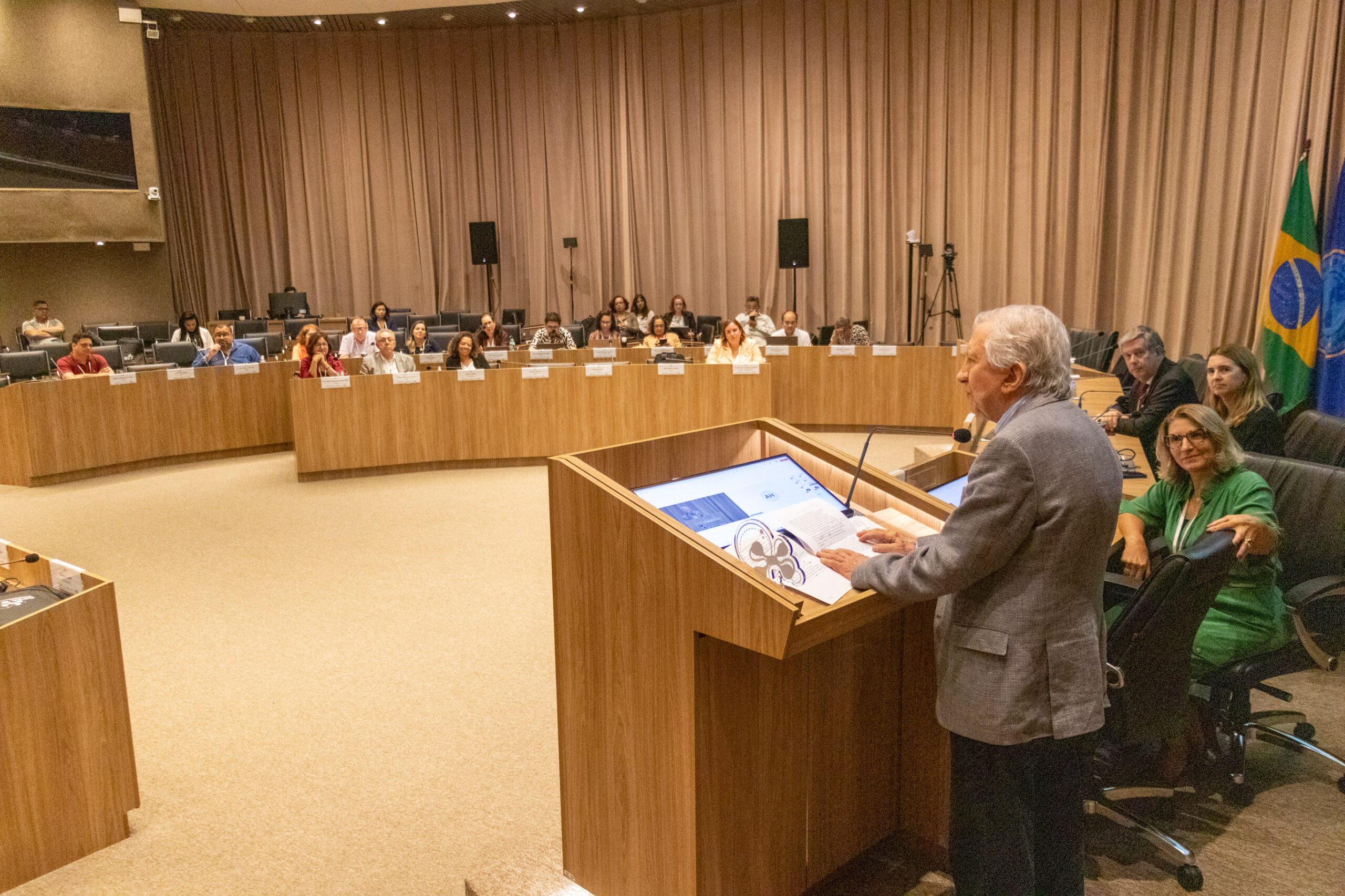 31ª Oficina de Trabalho Interagencial da Ripsa​ - 2024.12.05 e 06