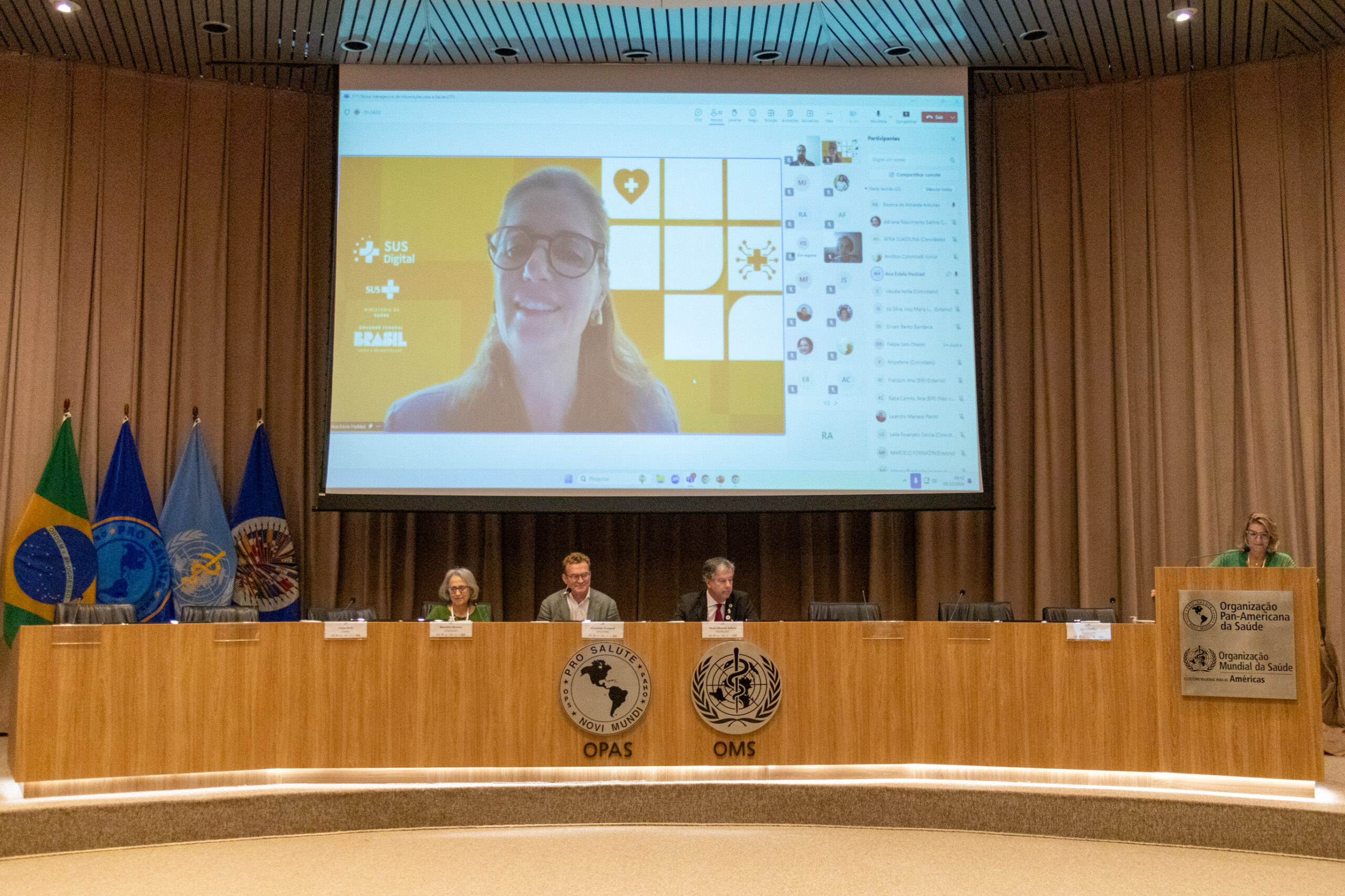 31ª Oficina de Trabalho Interagencial da Ripsa​ - 2024.12.05 e 06