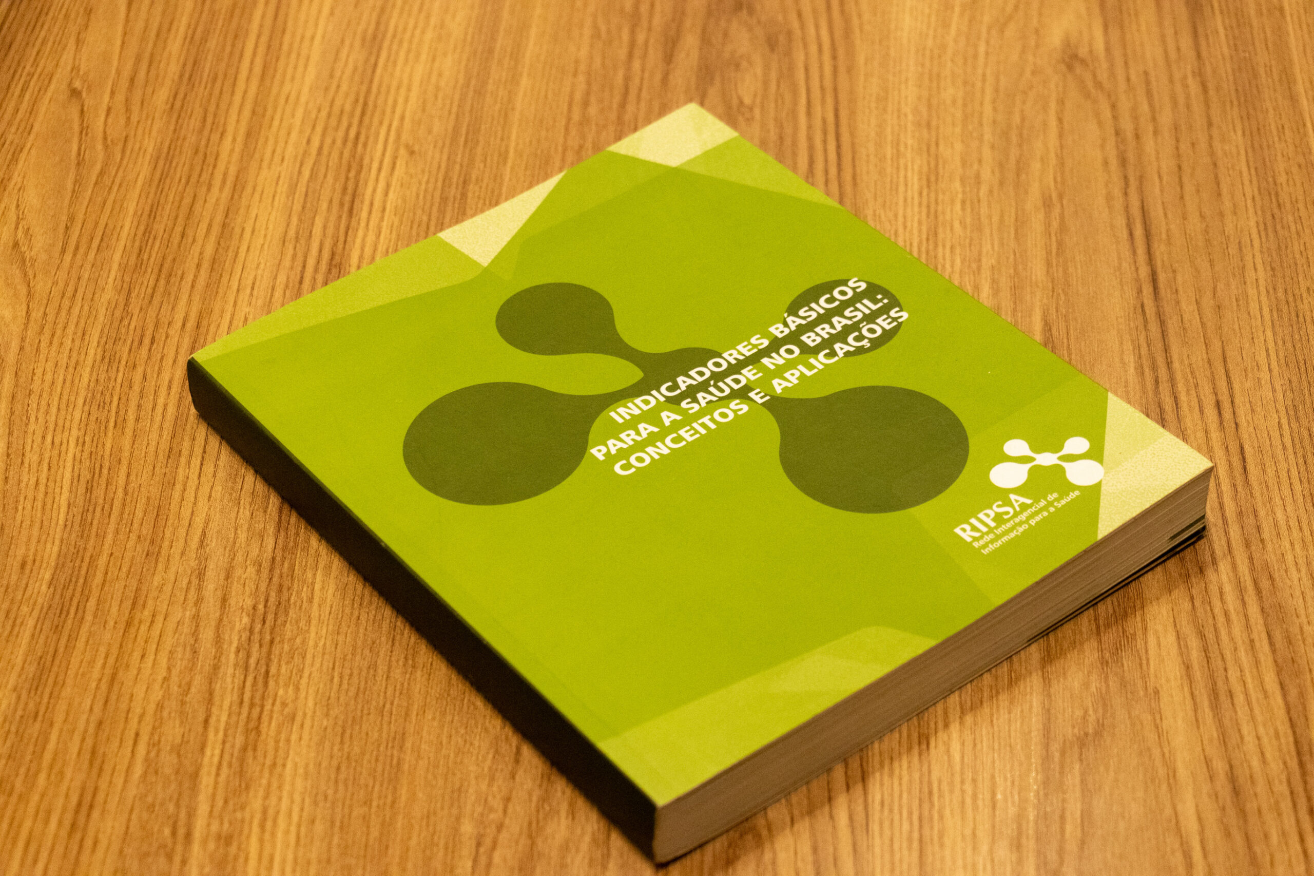 31ª Oficina de Trabalho Interagencial da Ripsa​ - 2024.12.05 e 06