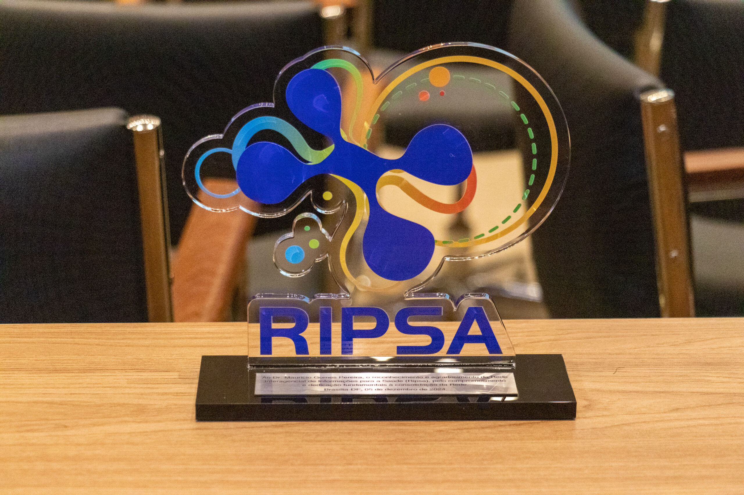 31ª Oficina de Trabalho Interagencial da Ripsa​ - 2024.12.05 e 06