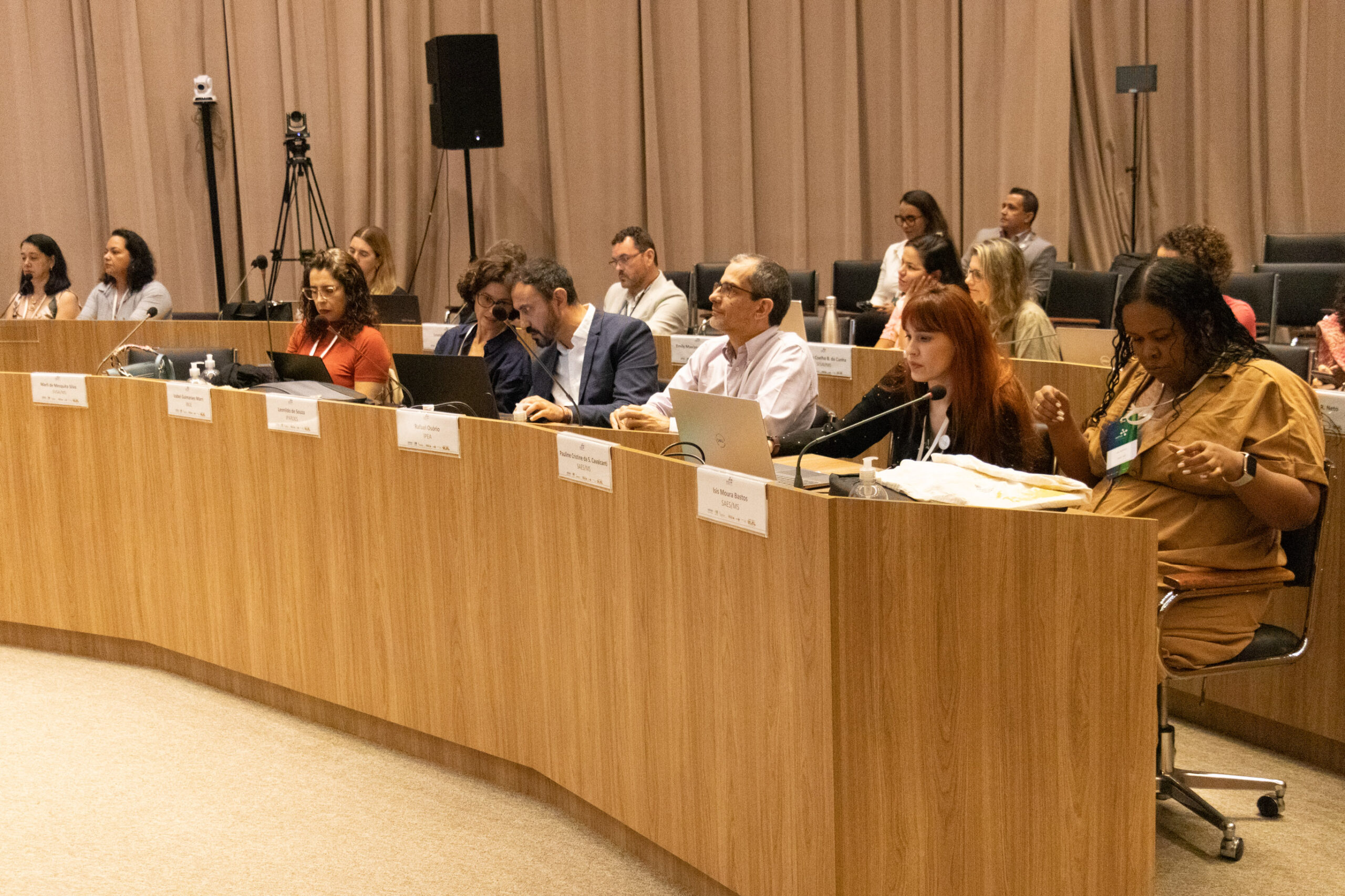 31ª Oficina de Trabalho Interagencial da Ripsa​ - 2024.12.05 e 06