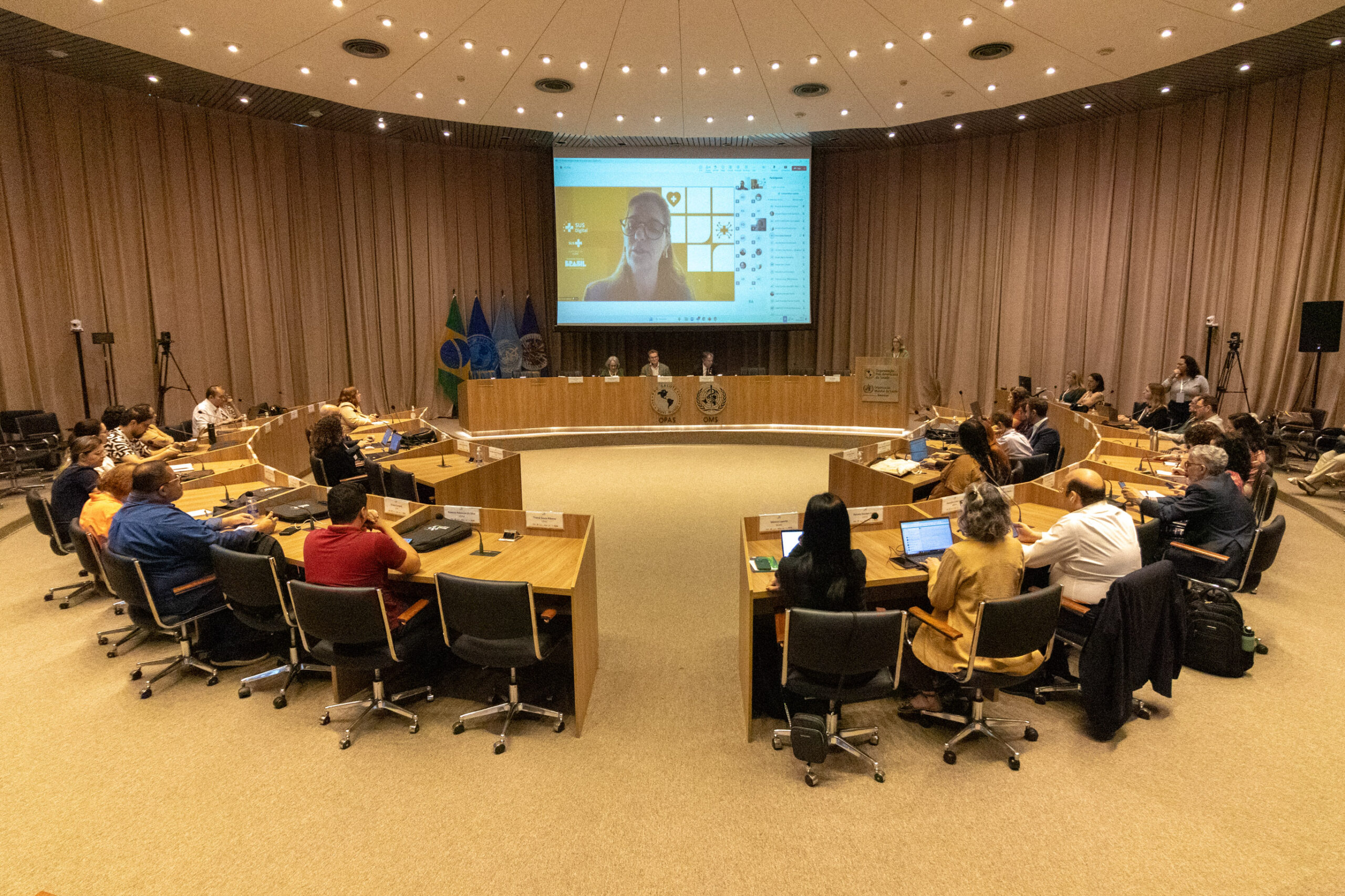 31ª Oficina de Trabalho Interagencial da Ripsa​ - 2024.12.05 e 06