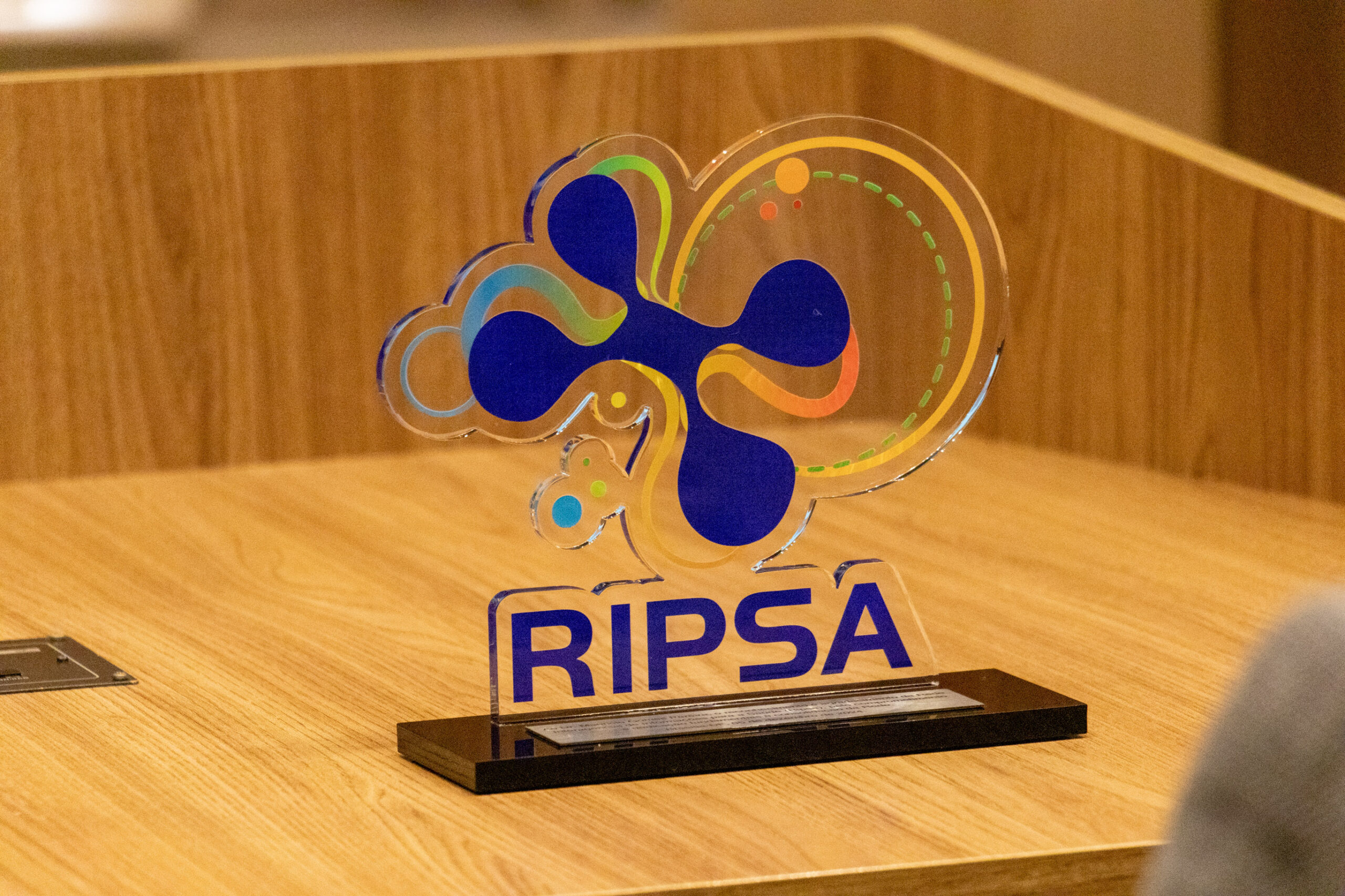 31ª Oficina de Trabalho Interagencial da Ripsa​ - 2024.12.05 e 06