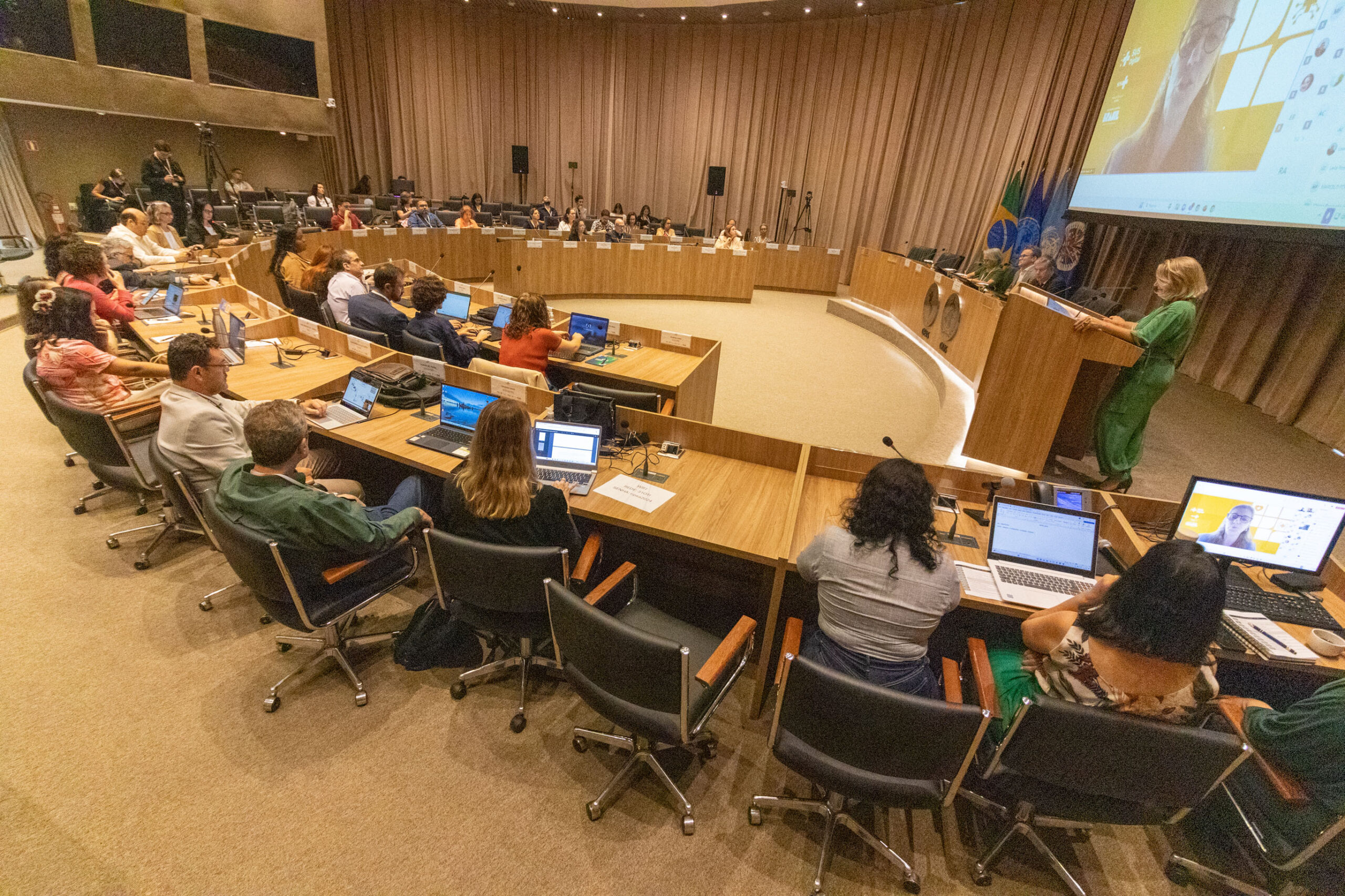 31ª Oficina de Trabalho Interagencial da Ripsa​ - 2024.12.05 e 06