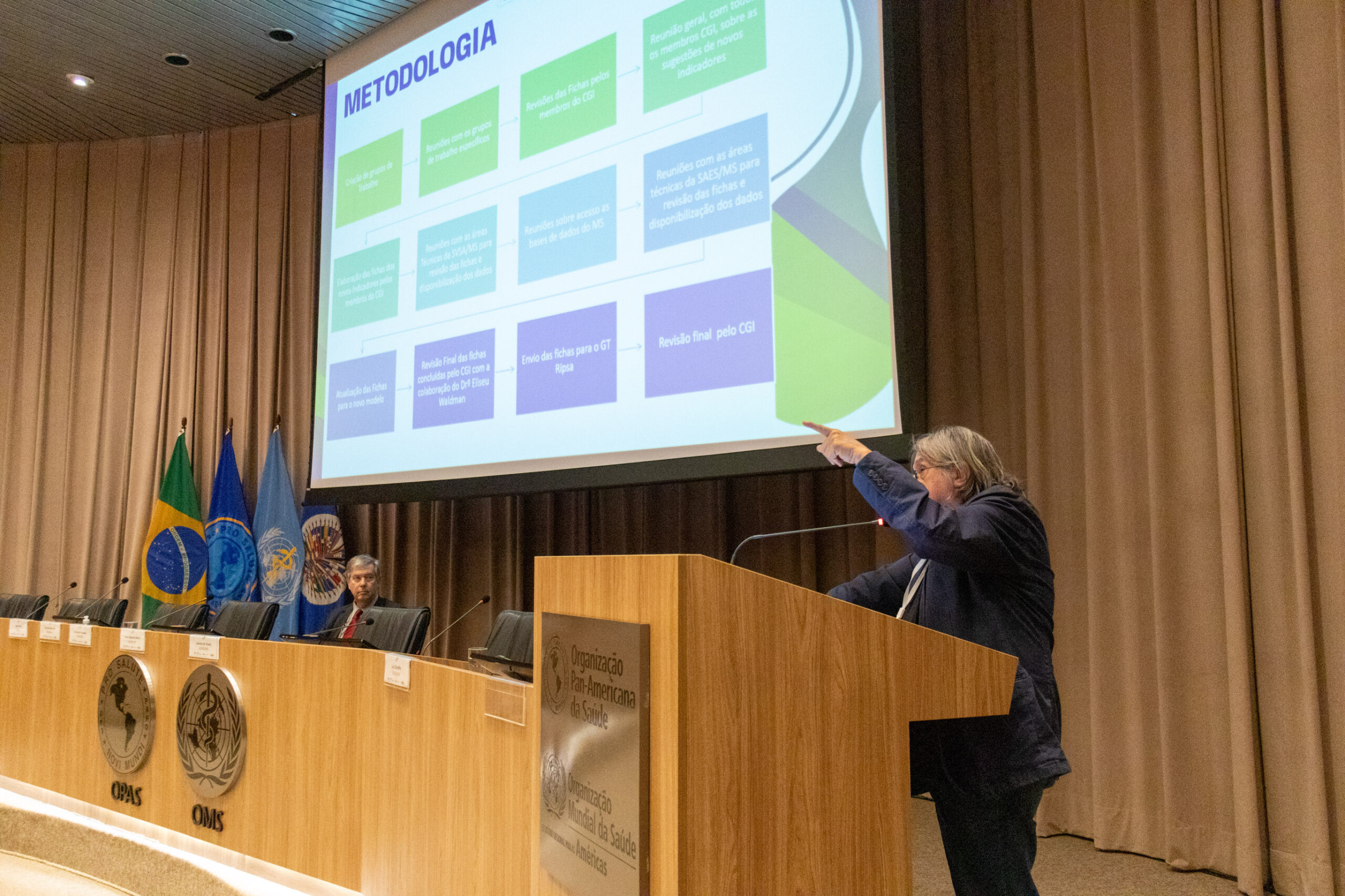 31ª Oficina de Trabalho Interagencial da Ripsa​ - 2024.12.05 e 06