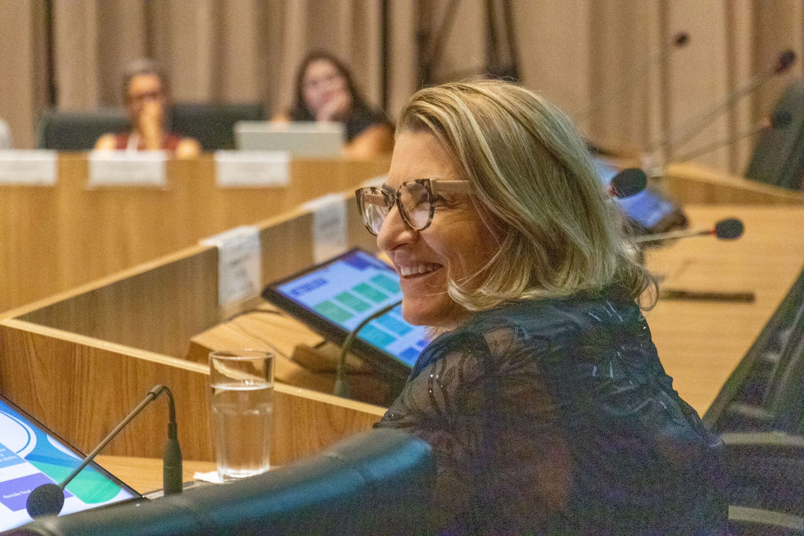 31ª Oficina de Trabalho Interagencial da Ripsa​ - 2024.12.05 e 06