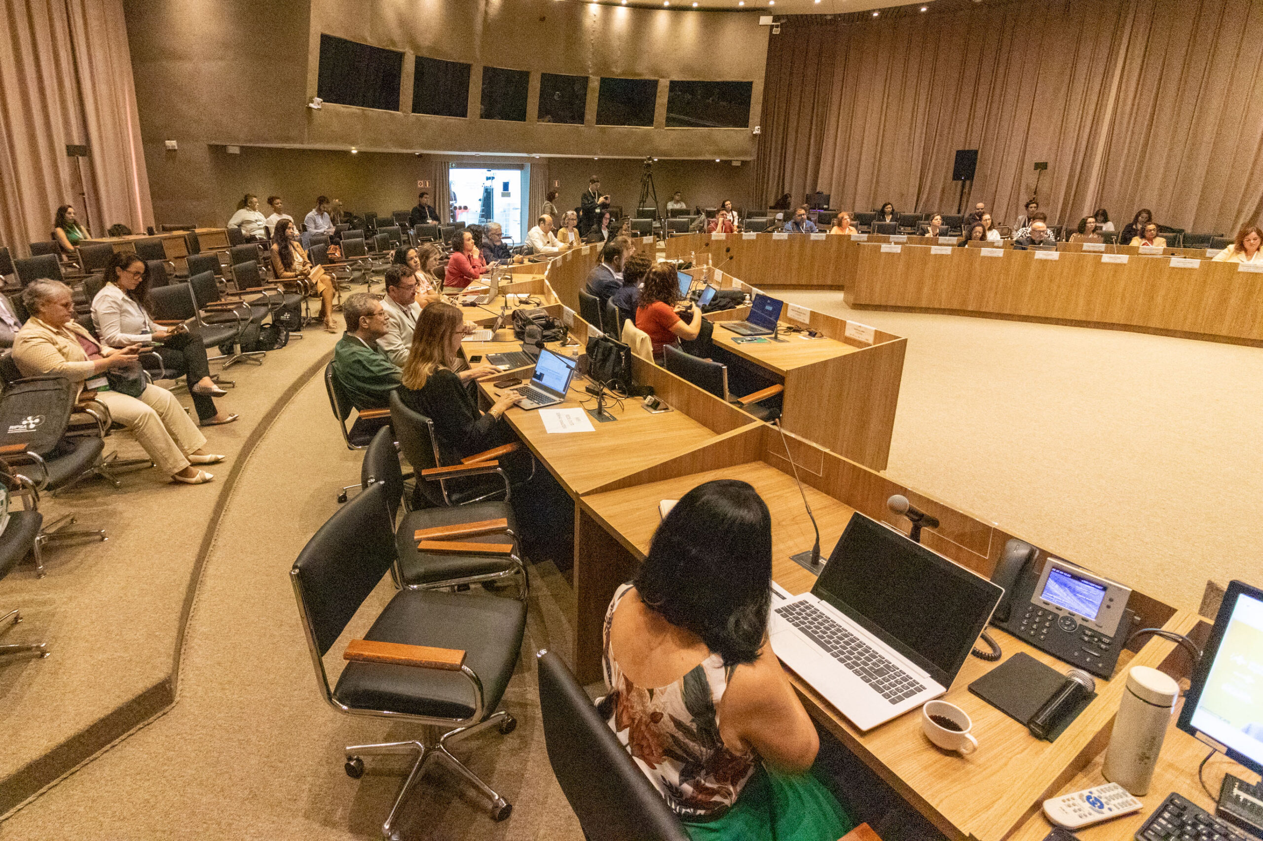 31ª Oficina de Trabalho Interagencial da Ripsa​ - 2024.12.05 e 06