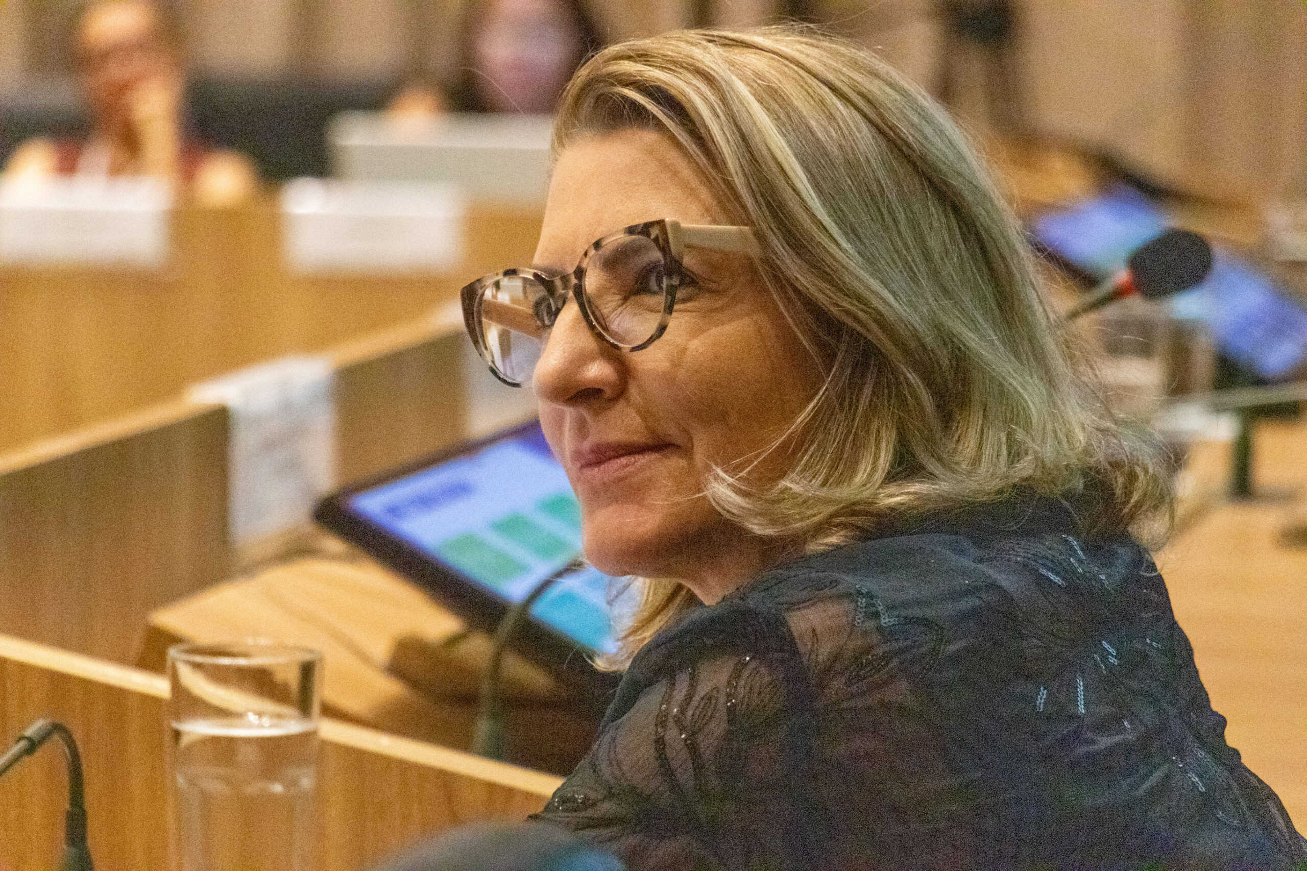 31ª Oficina de Trabalho Interagencial da Ripsa​ - 2024.12.05 e 06