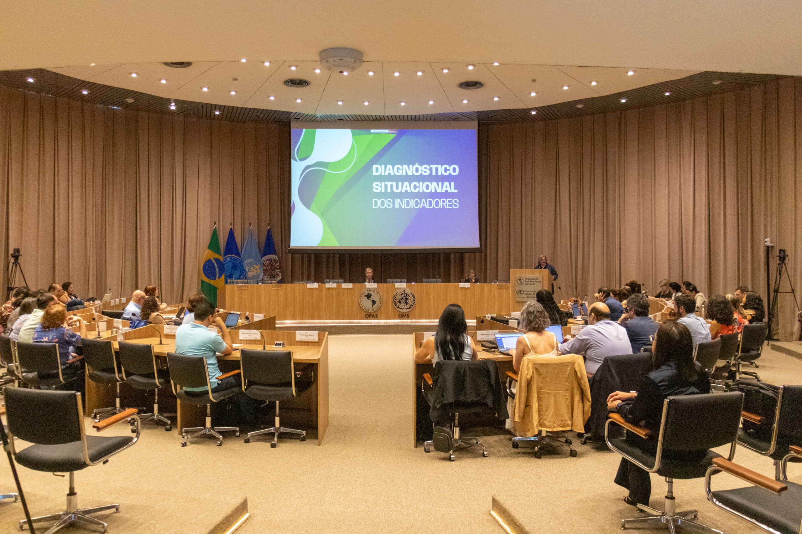 31ª Oficina de Trabalho Interagencial da Ripsa​ - 2024.12.05 e 06