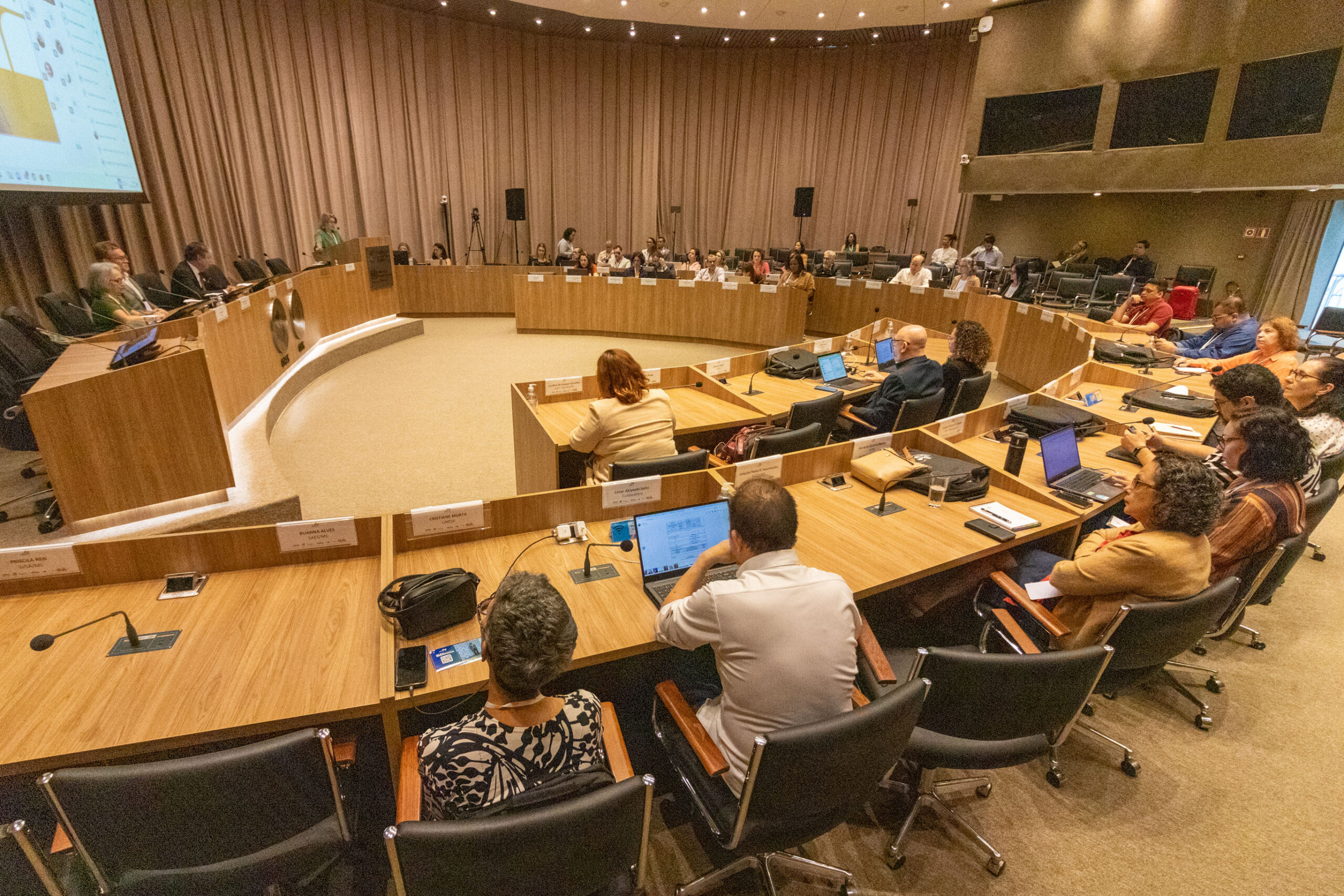 31ª Oficina de Trabalho Interagencial da Ripsa​ - 2024.12.05 e 06