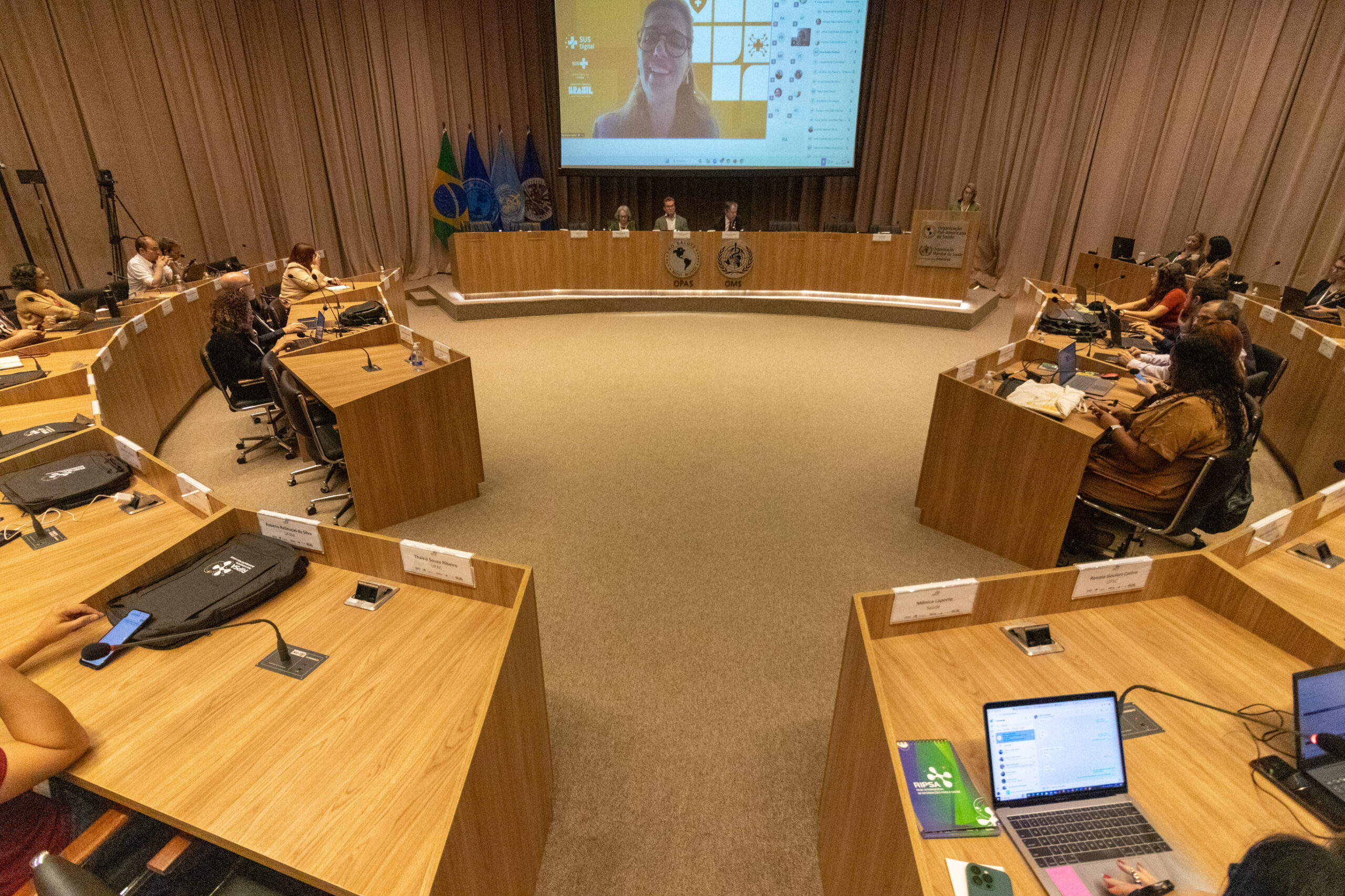 31ª Oficina de Trabalho Interagencial da Ripsa​ - 2024.12.05 e 06