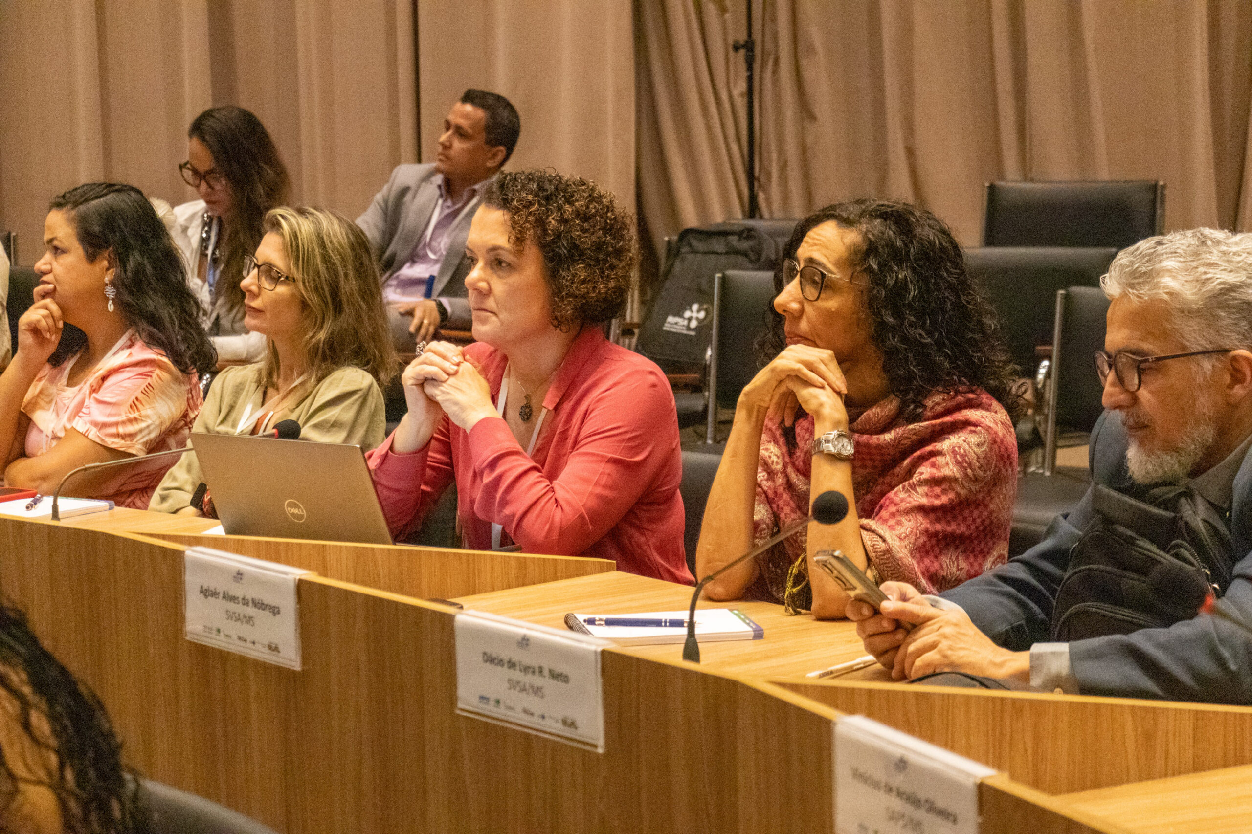 31ª Oficina de Trabalho Interagencial da Ripsa​ - 2024.12.05 e 06