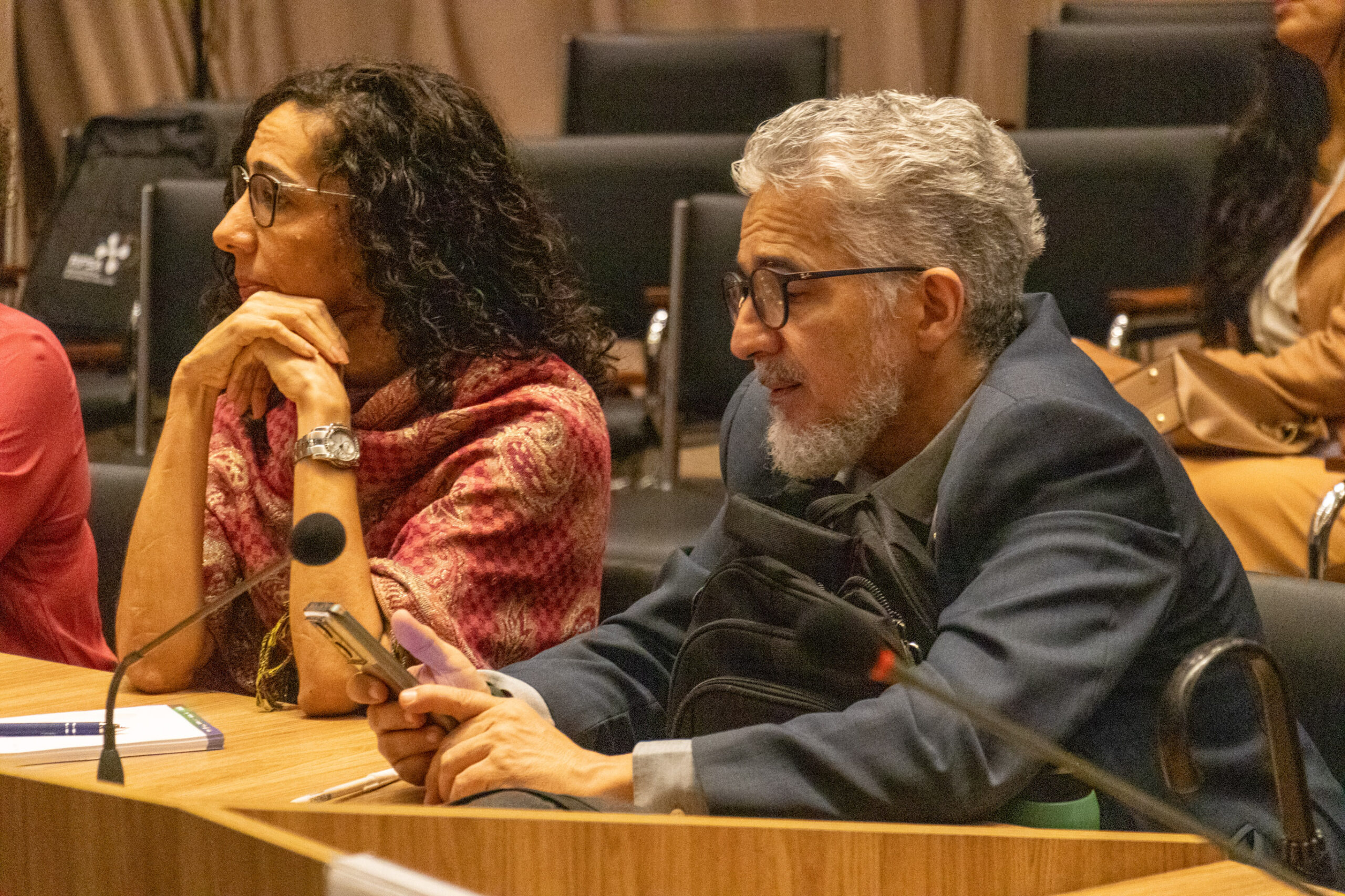 31ª Oficina de Trabalho Interagencial da Ripsa​ - 2024.12.05 e 06