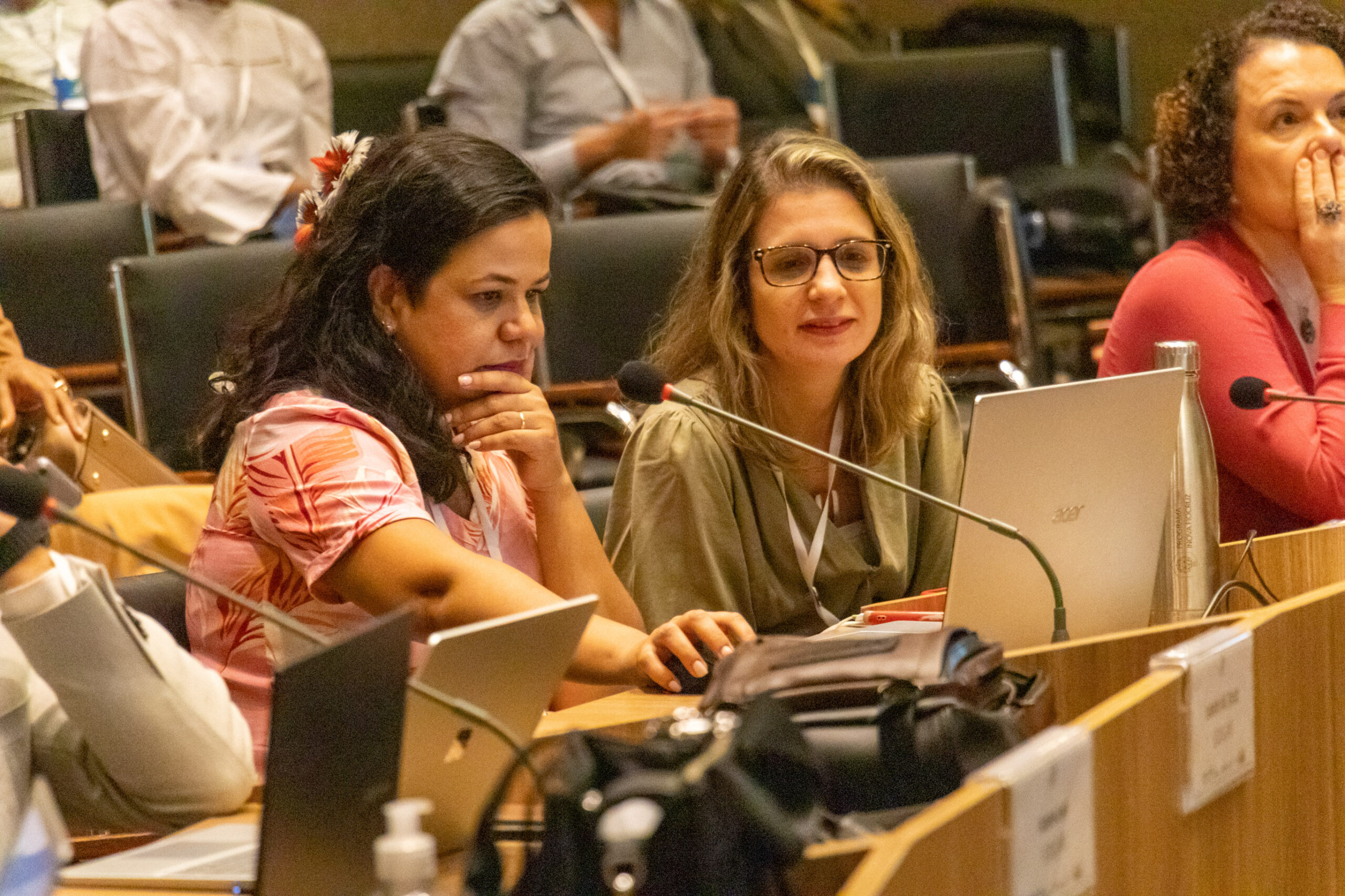 31ª Oficina de Trabalho Interagencial da Ripsa​ - 2024.12.05 e 06