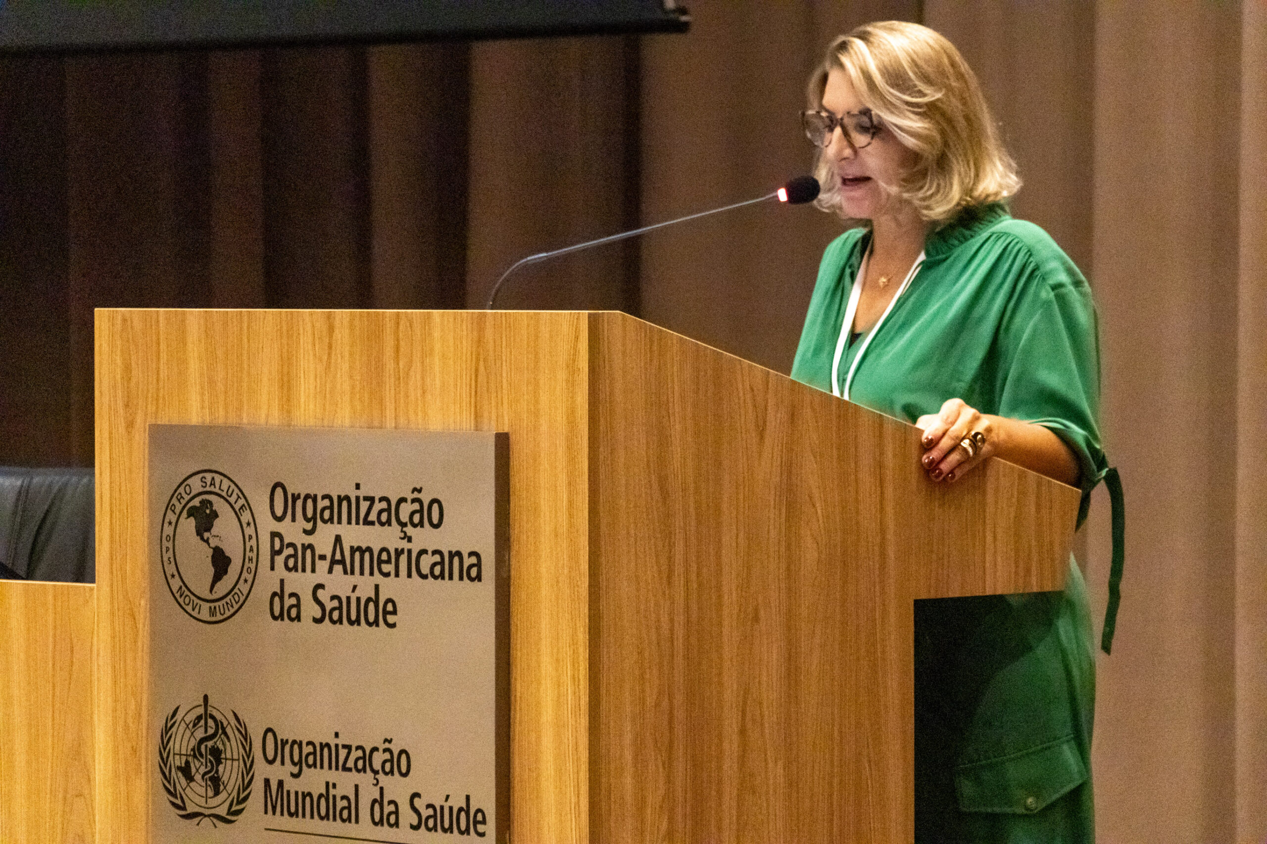 31ª Oficina de Trabalho Interagencial da Ripsa​ - 2024.12.05 e 06